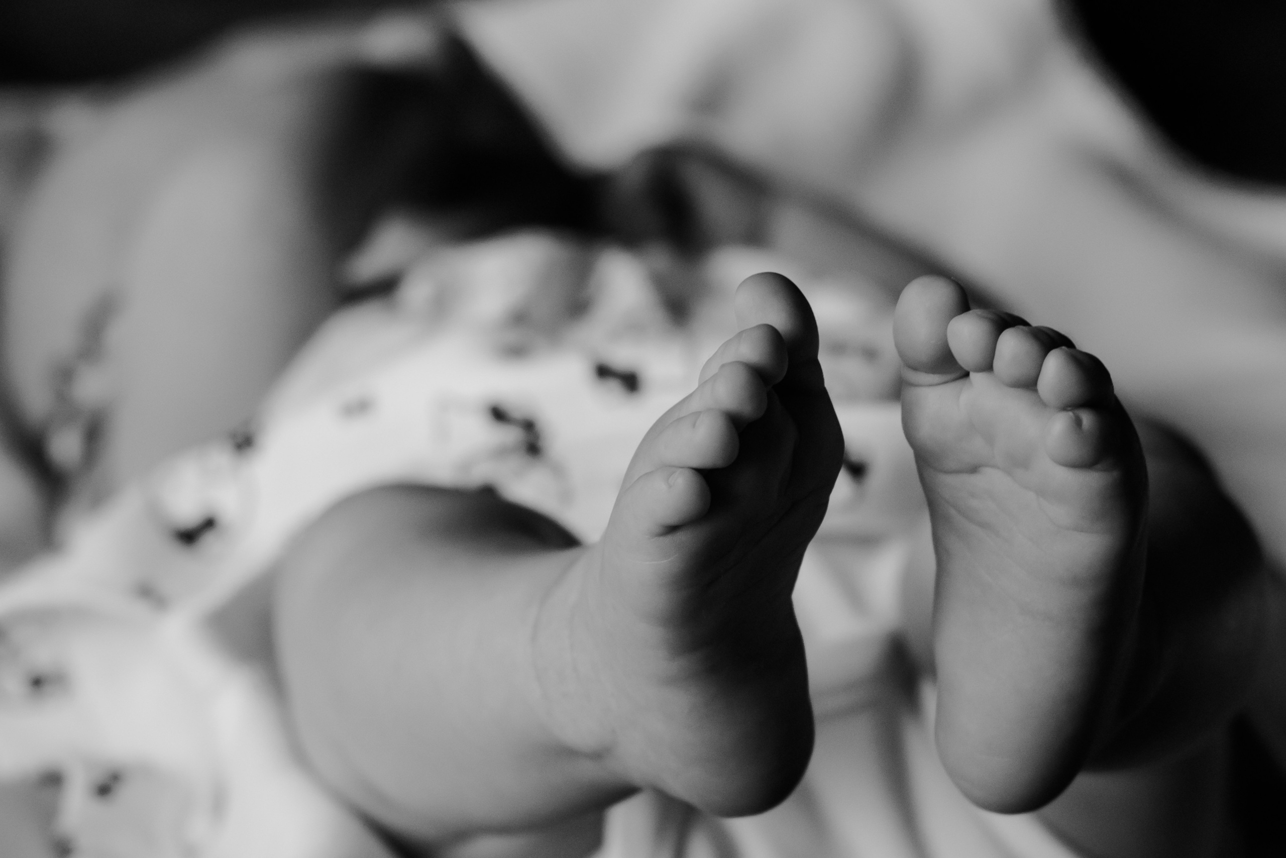 А&E&A. Свадебный и семейный фотограф Евгения Кононова