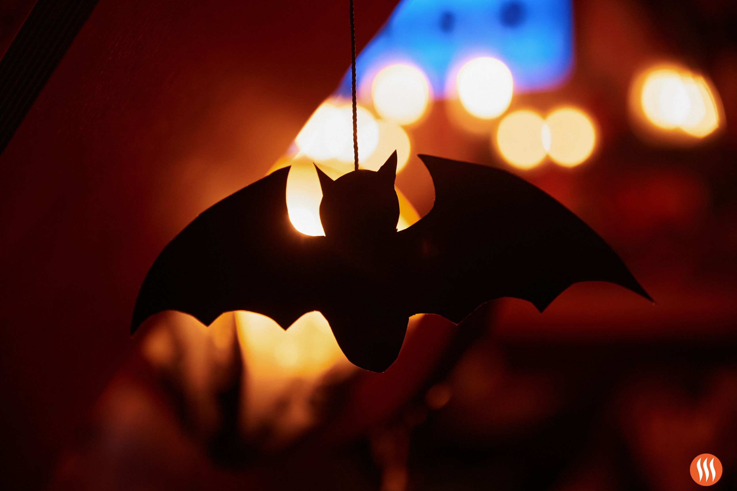 ШашлыкOFF. Фотограф и видеограф в Кургане Леонид Корнильев