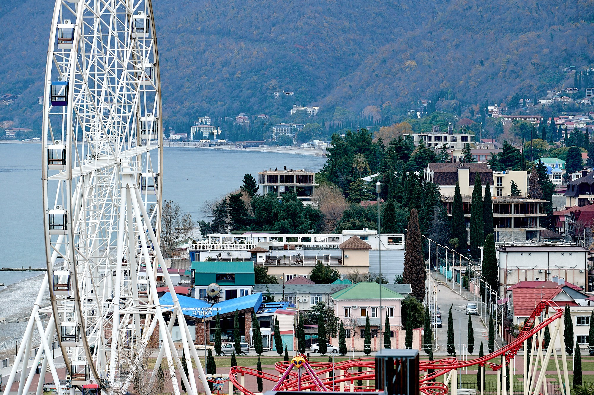 Гагра, Абхазия. Декабрь 2024. Фотографии отовсюду и обо всем