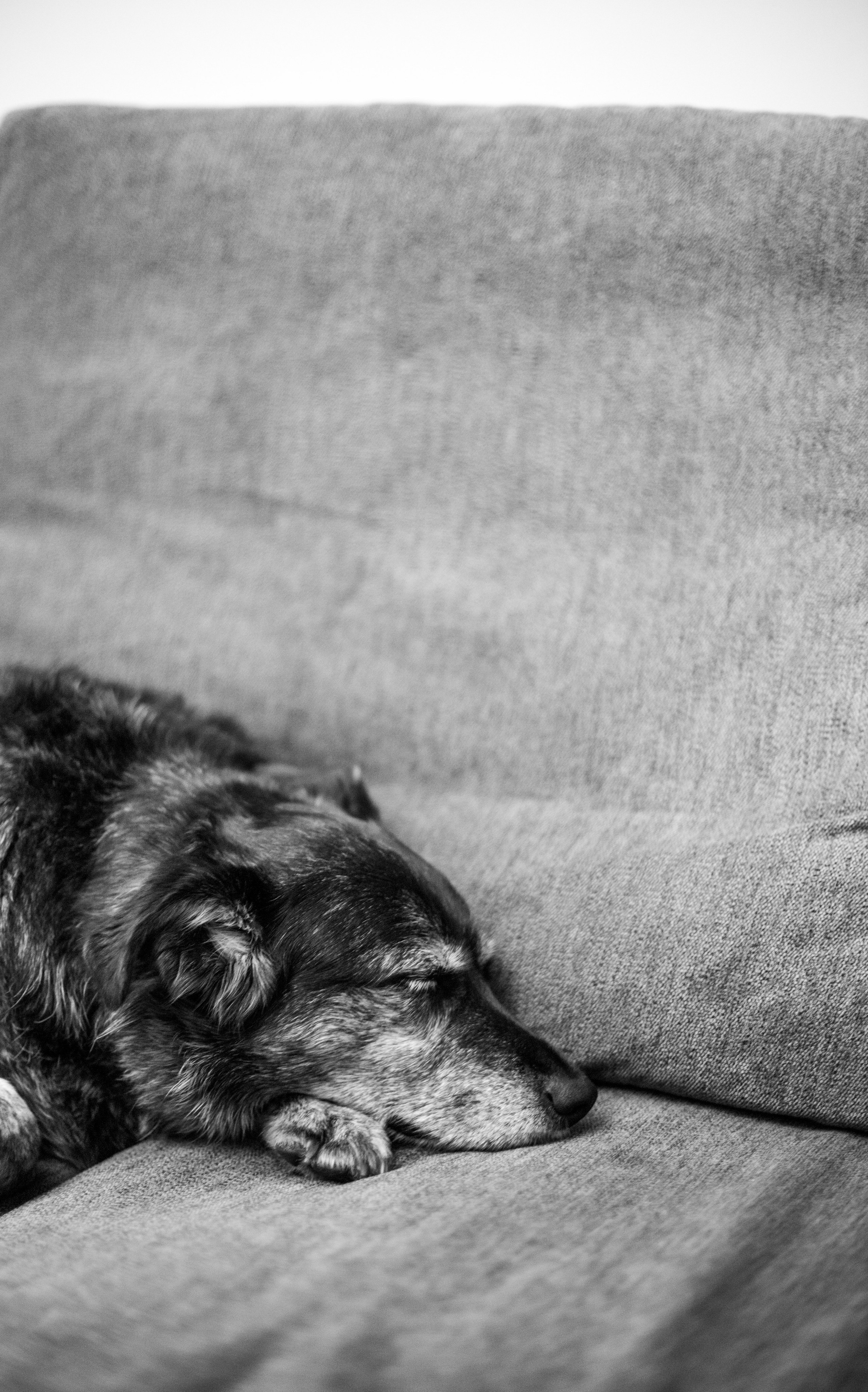 День рождения Оксаны. SaGaFOTO.ru