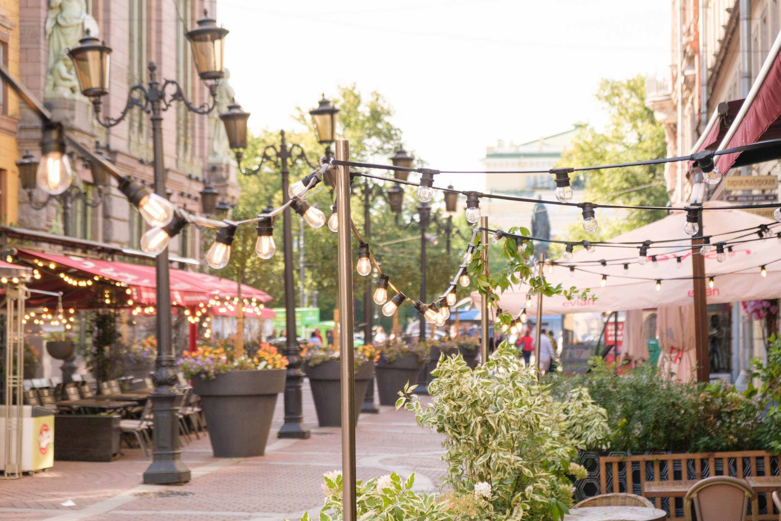 Озеленение