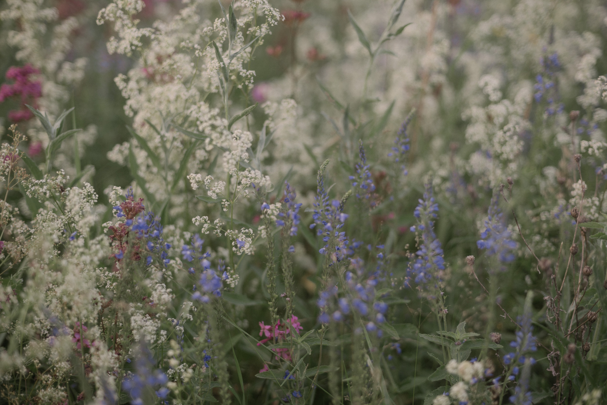 Художник, фотограф и арт-терапевт в Казани Аймалетдинова Альмира