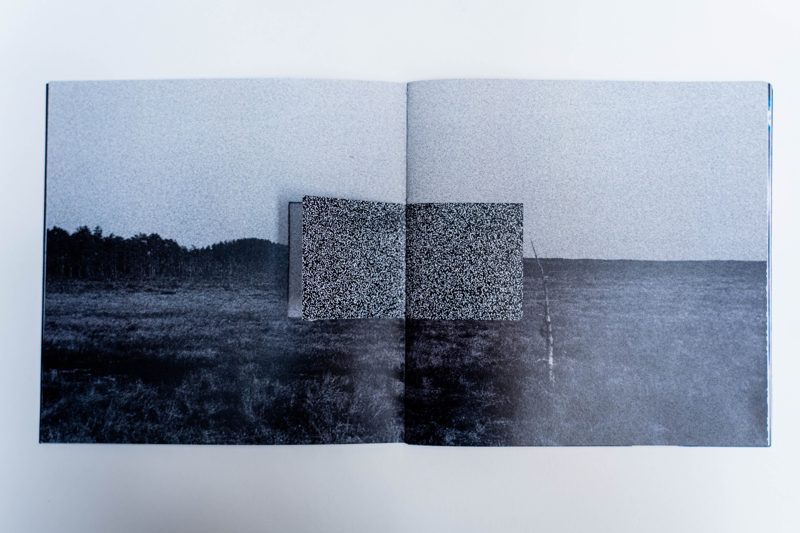 Шум. Катерина Эделева