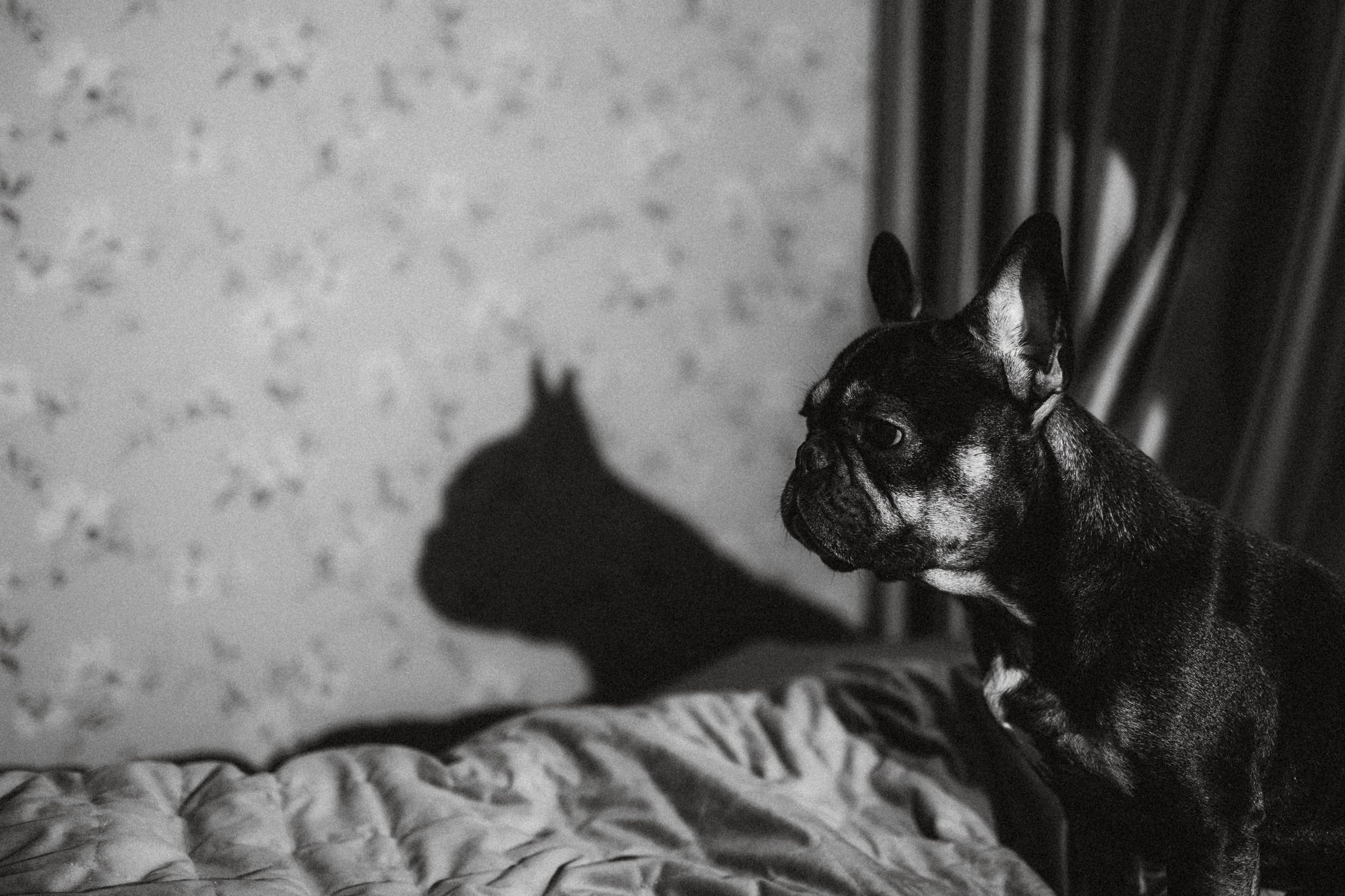 Юля, Мия и Зек