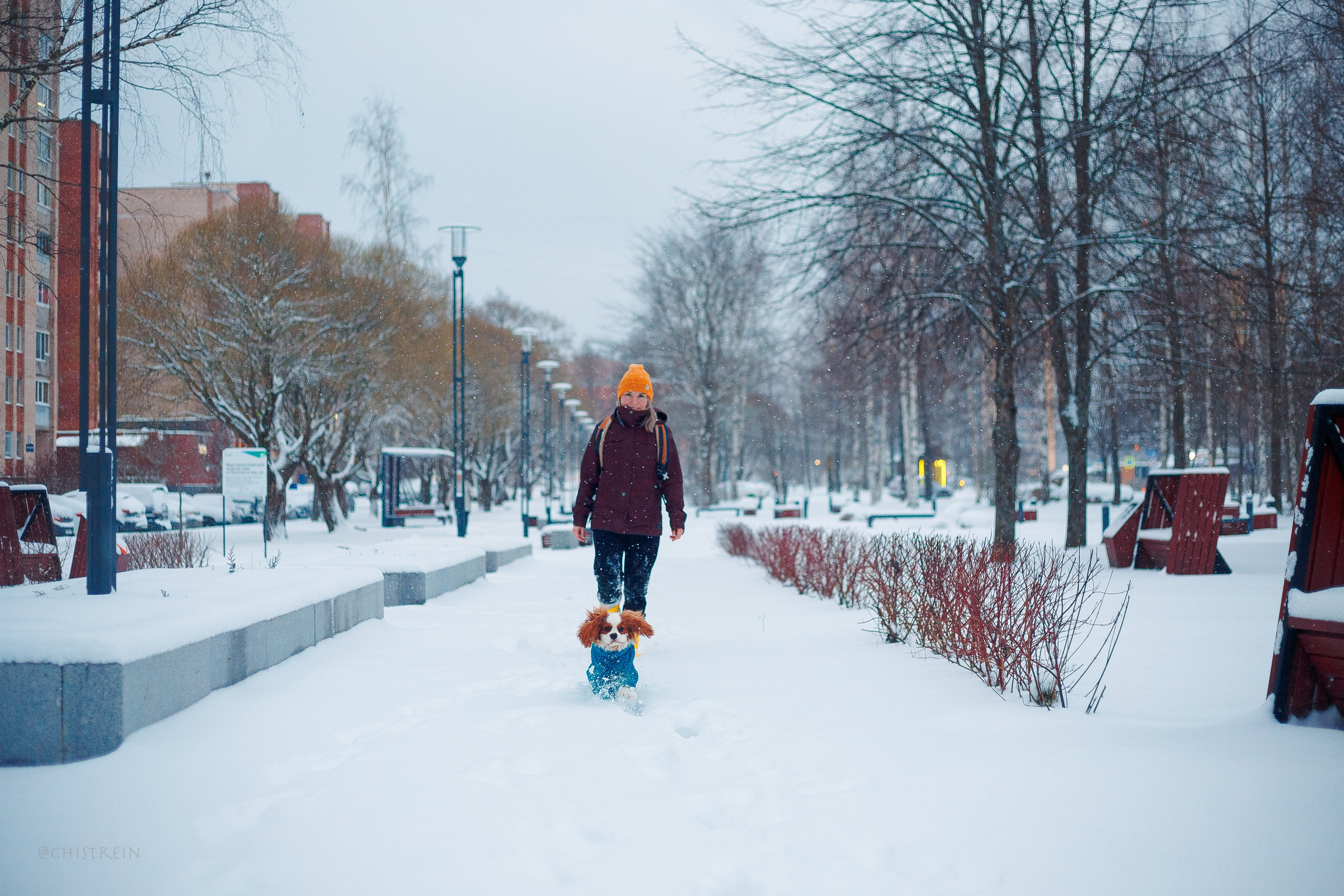 Внезапно апрельская зима. Фотограф-анималист Наталия Чистюхина в г. Сосновый Бор и ЛО