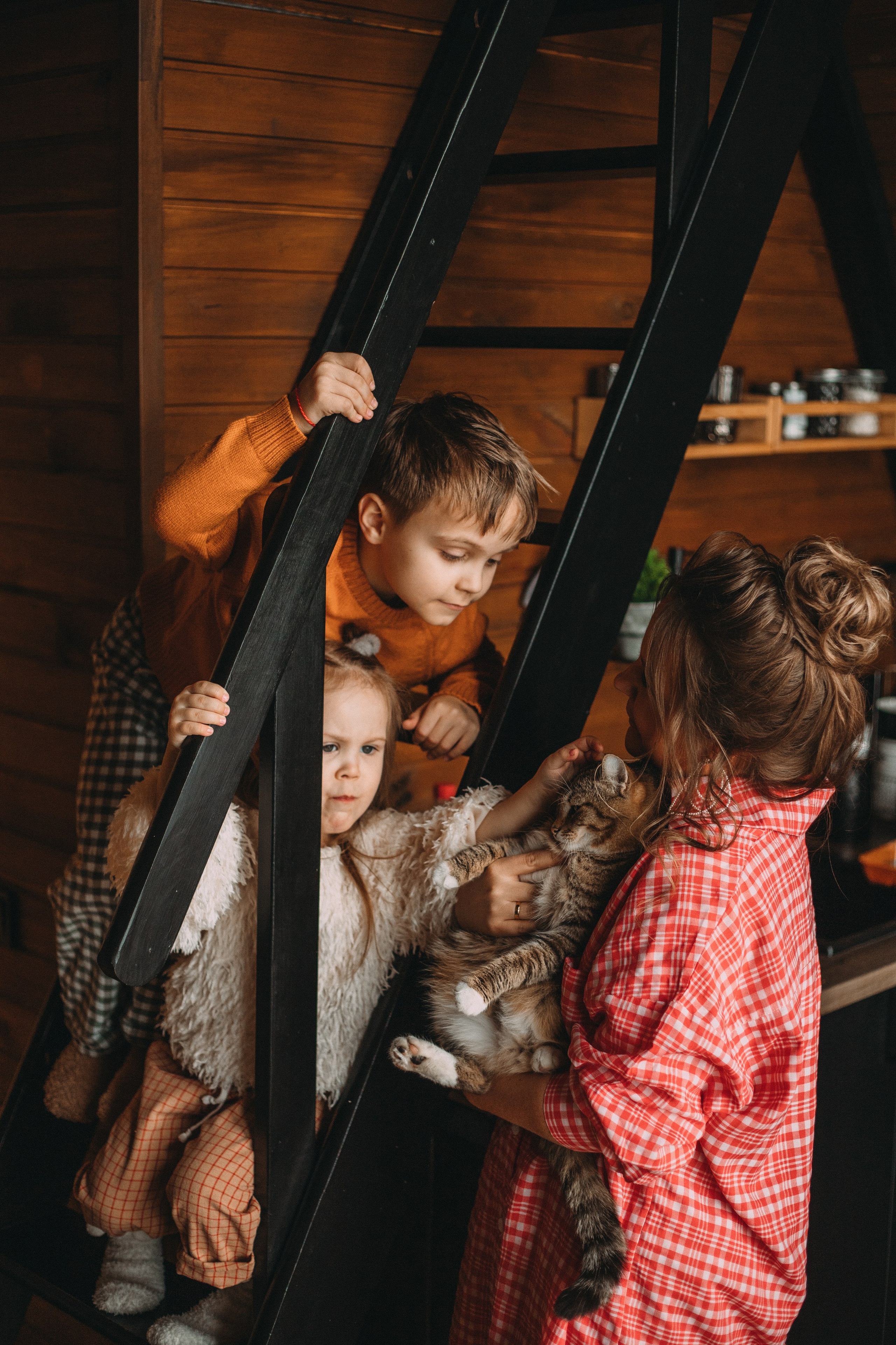 Треугольный домик. Главная