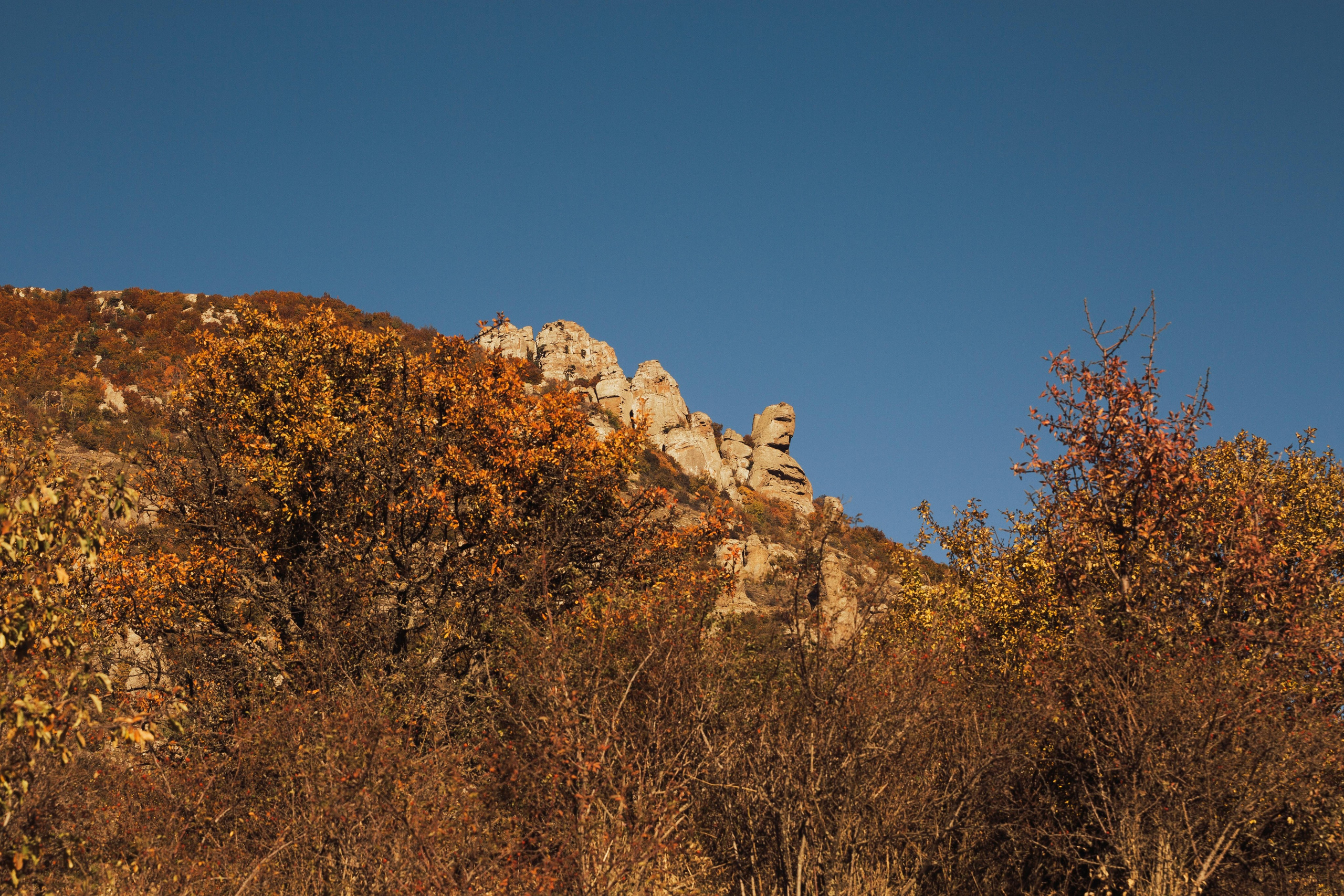 История одного путешествия. Семен Соколов