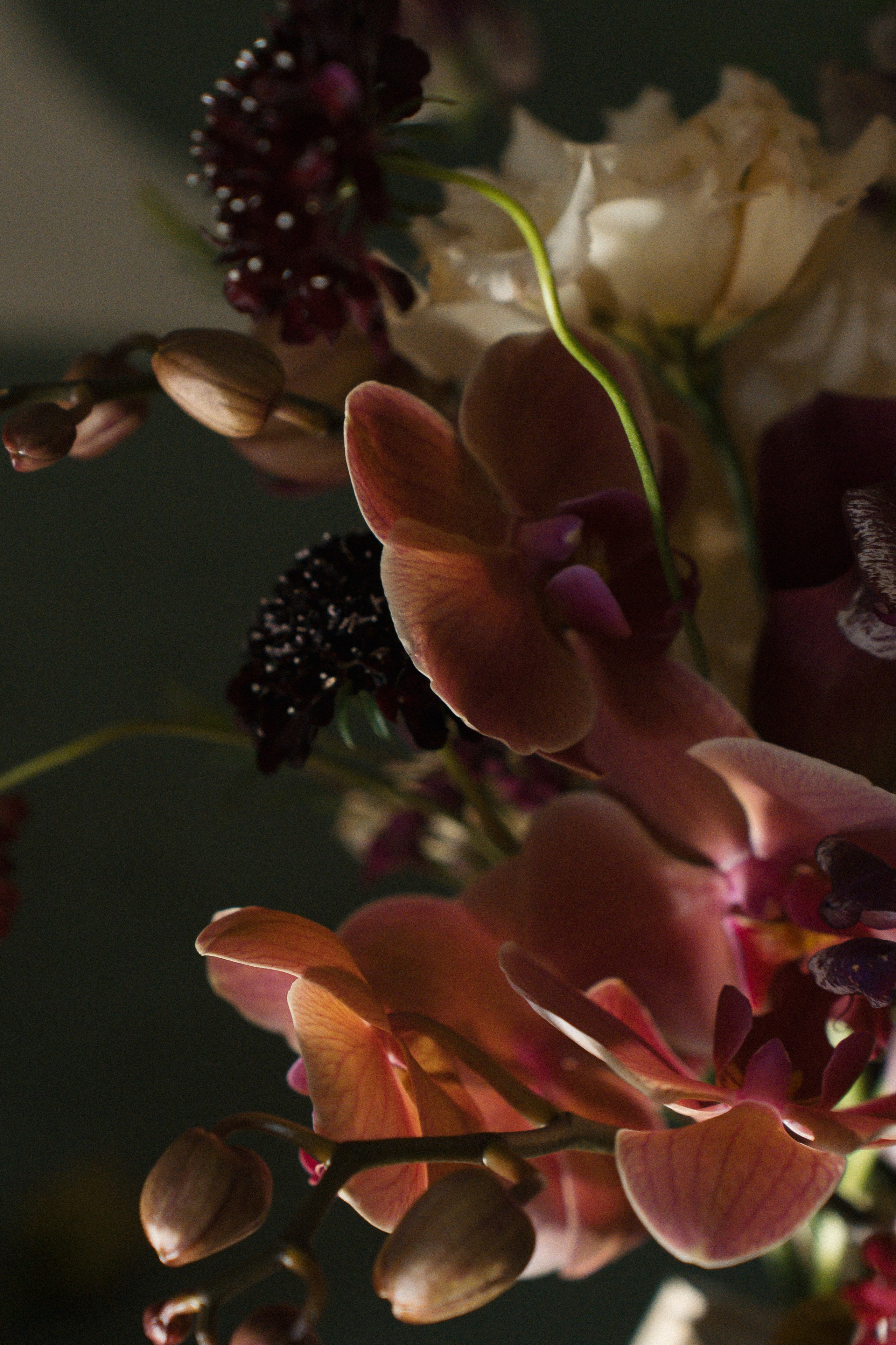 Жизнь в розовом цвете. Свадебный фотограф Москва Светлана Анисимова