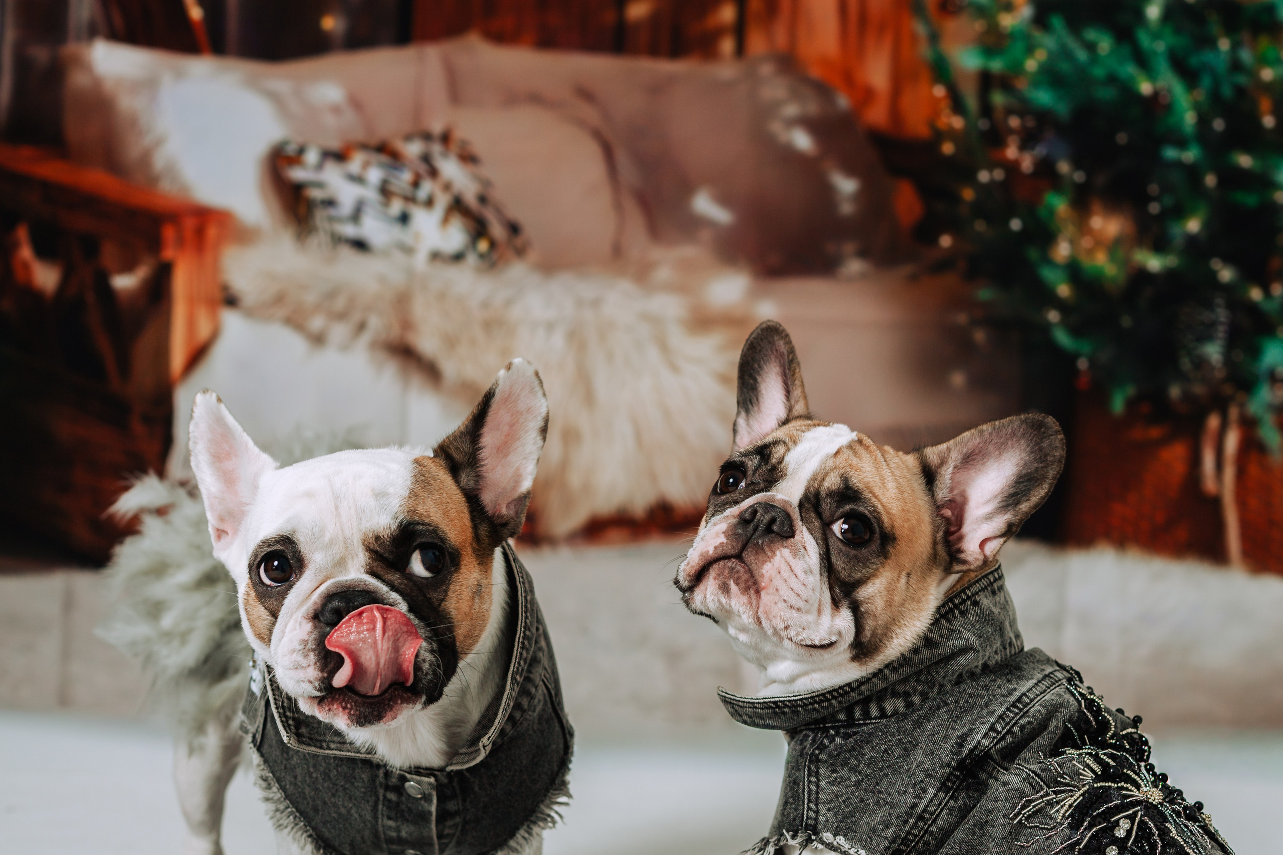 Бульвстреча 2025. Фотограф-анималист Татьяна Степанова