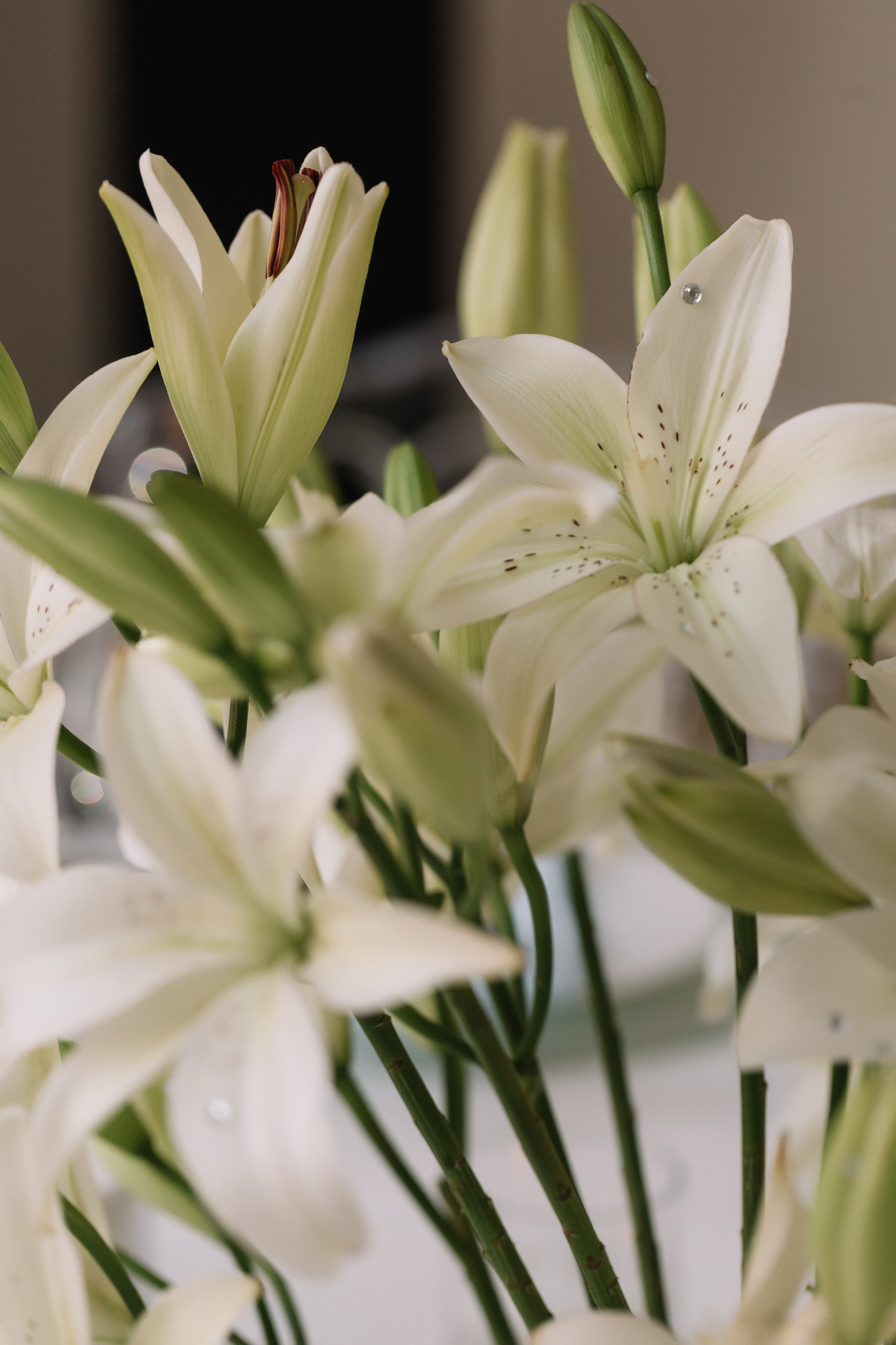 Ева и Олег. Свадебный фотограф в Краснодаре Булатова Наталия