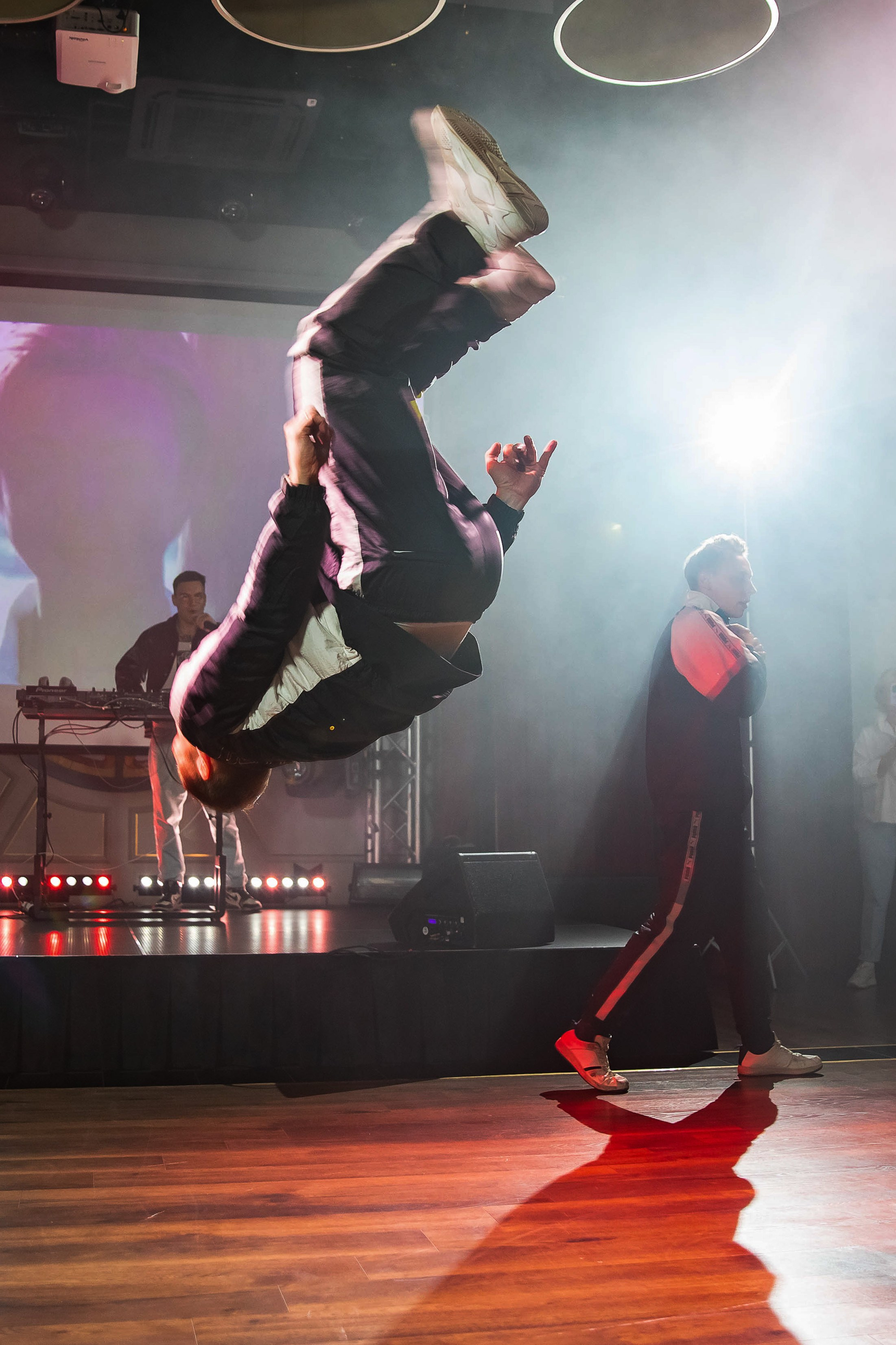 Отпетые мошенники в Mouse House. NesterovaMaria.ru