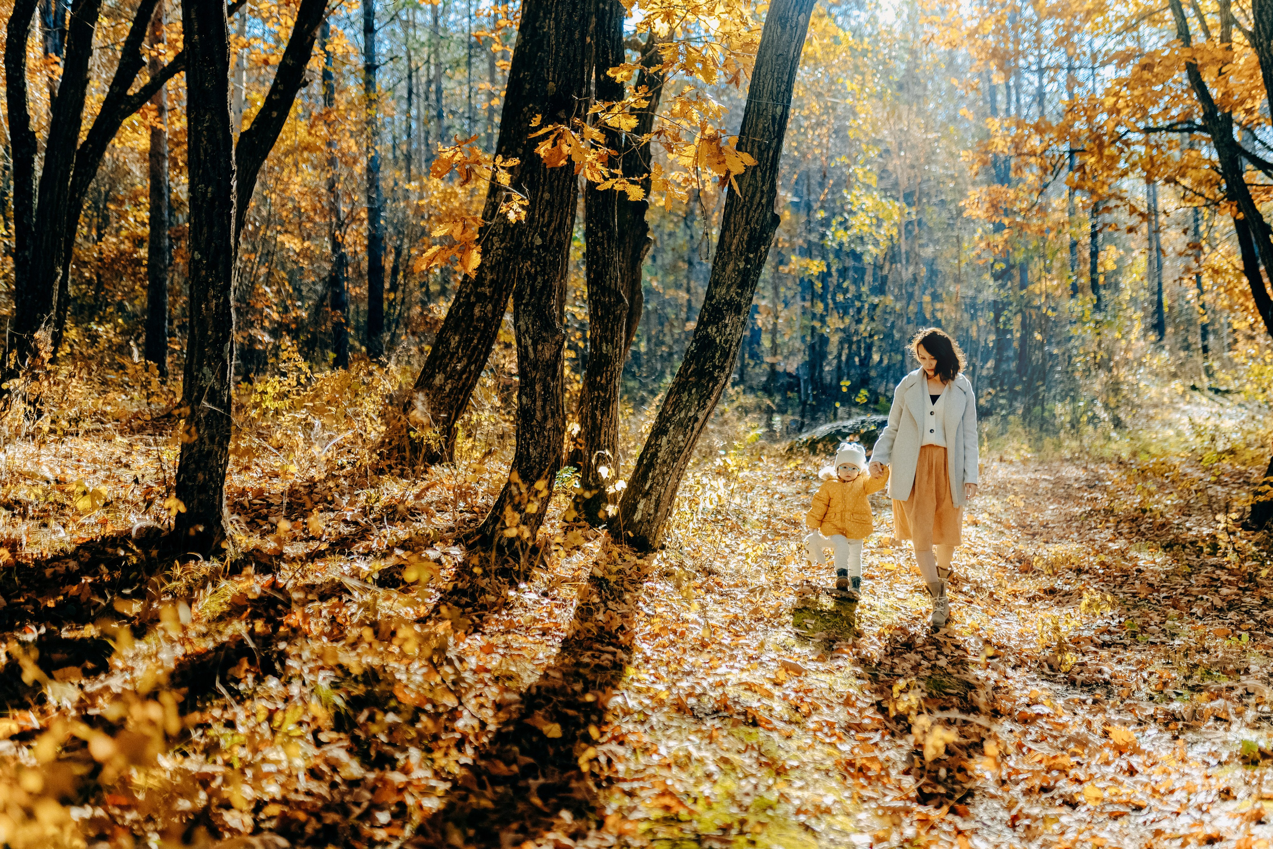 ТЕПЛАЯ ОСЕНЬ. Шашкова Вероника / Свадебный и семейный фотограф Москва и Ярославль