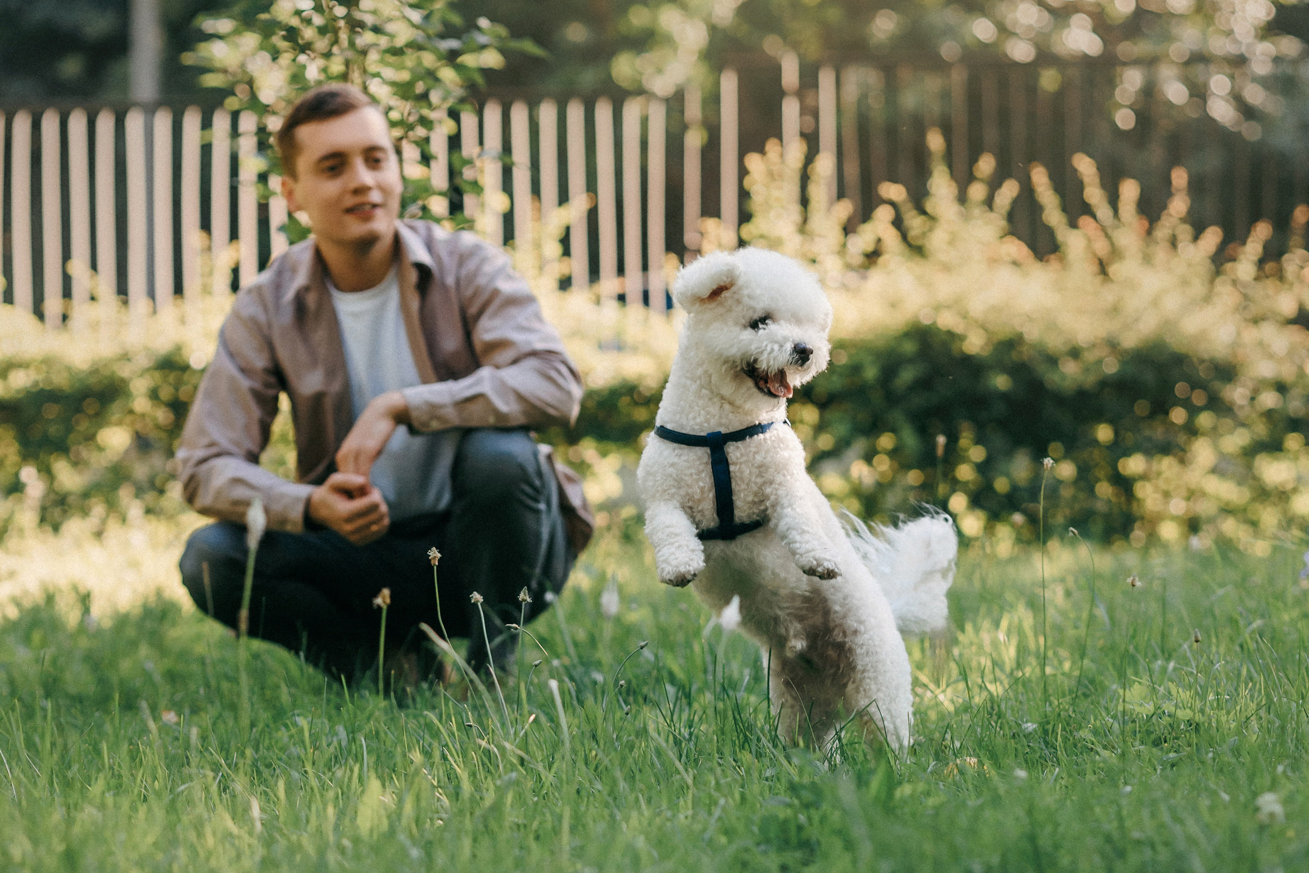 Марина, Данил и Бруно. Фотограф-анималист Елена Радченко, Москва