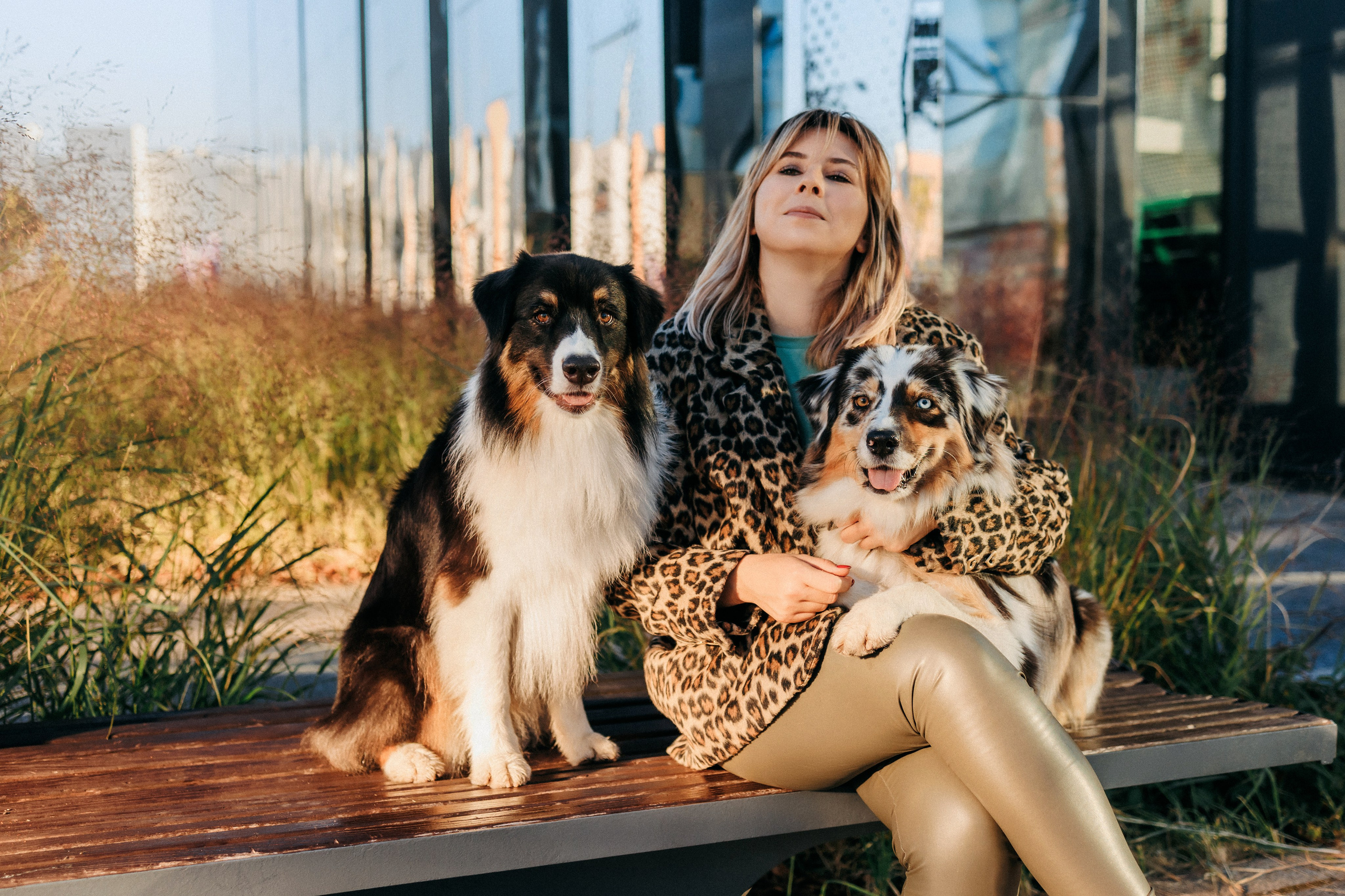 Аня, Чарли и Ева. Фотограф-анималист Елена Радченко, Москва