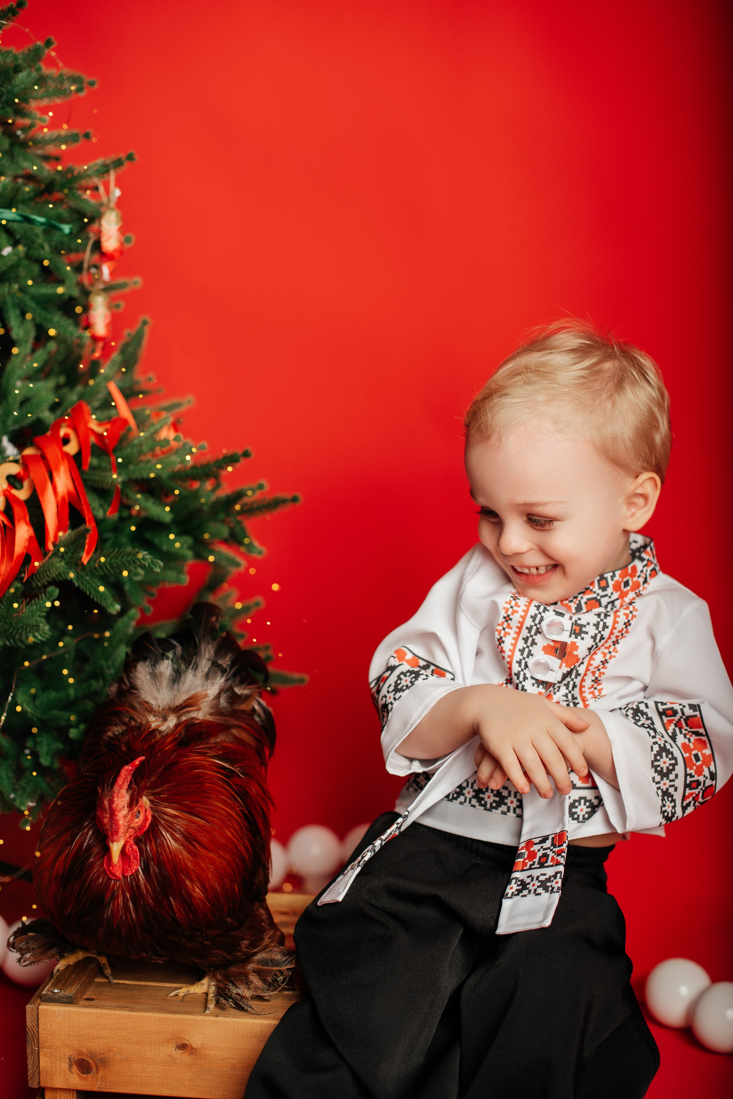 Новый год. Фотограф новорожденных и беременности Сергиев Посад Усачева Ирина