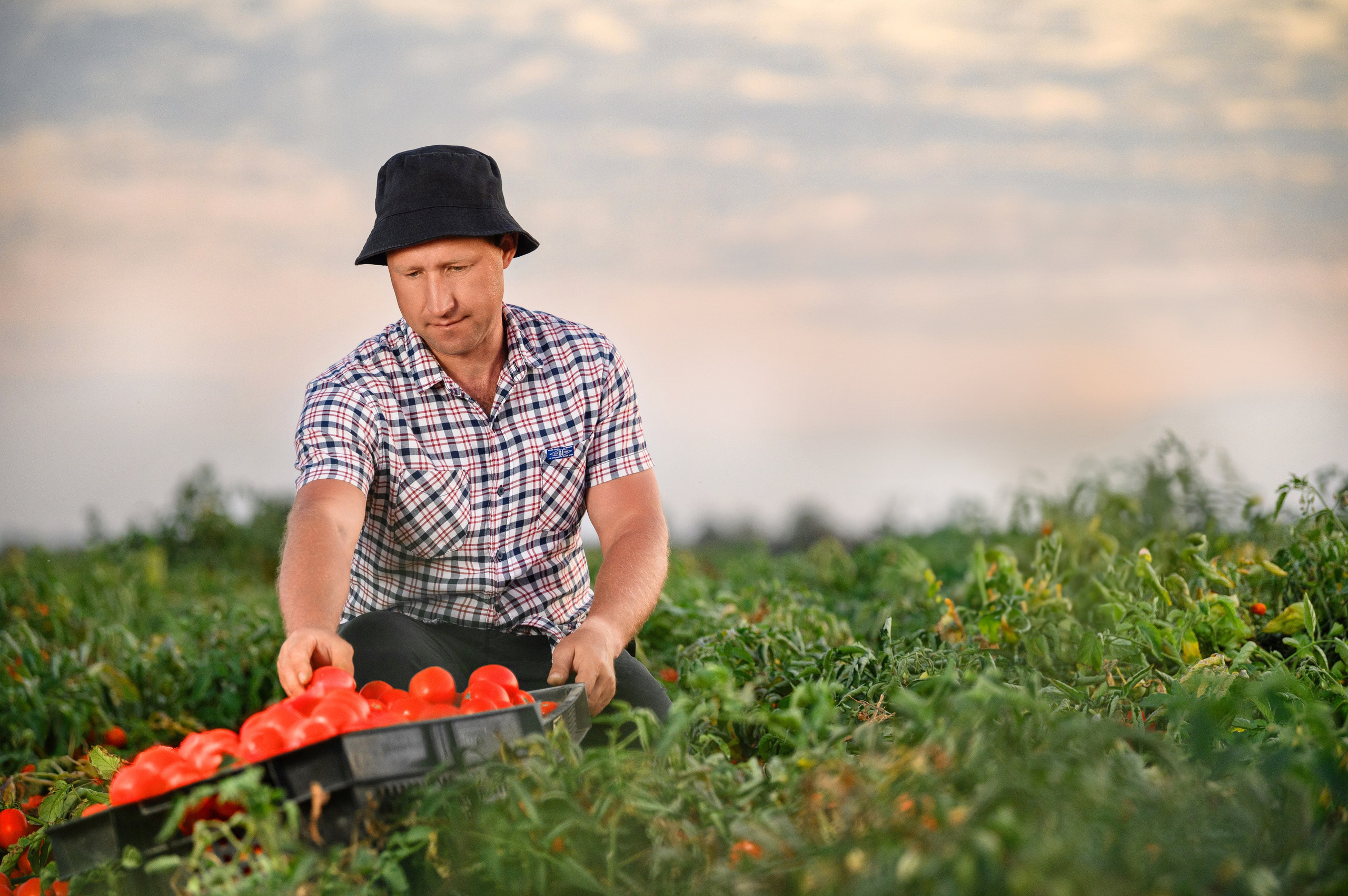 Проекты. Профессиональный фотограф Вячеслав Плацында | Липецк |