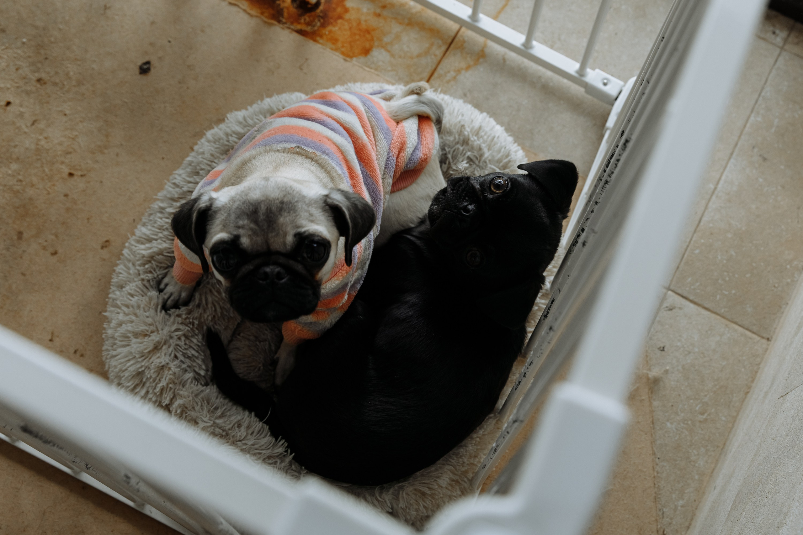 День рождение Миланьи. Главная