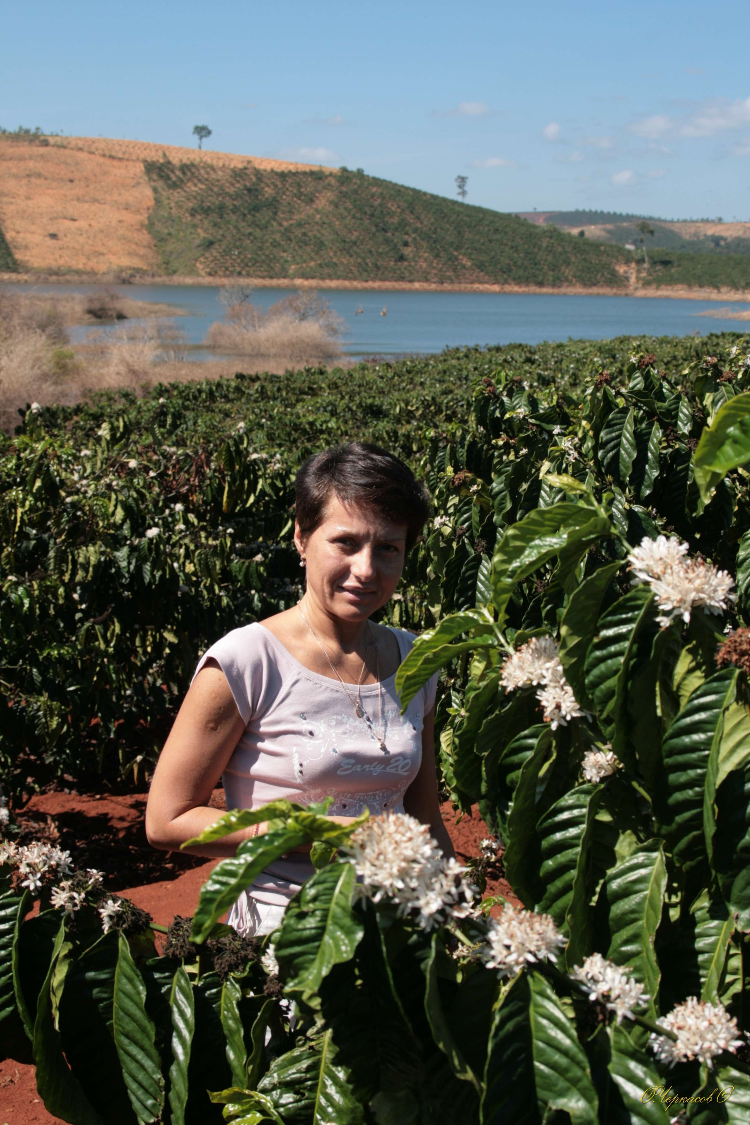 Вьетнам 2008 г. Улица, люди, жизнь…