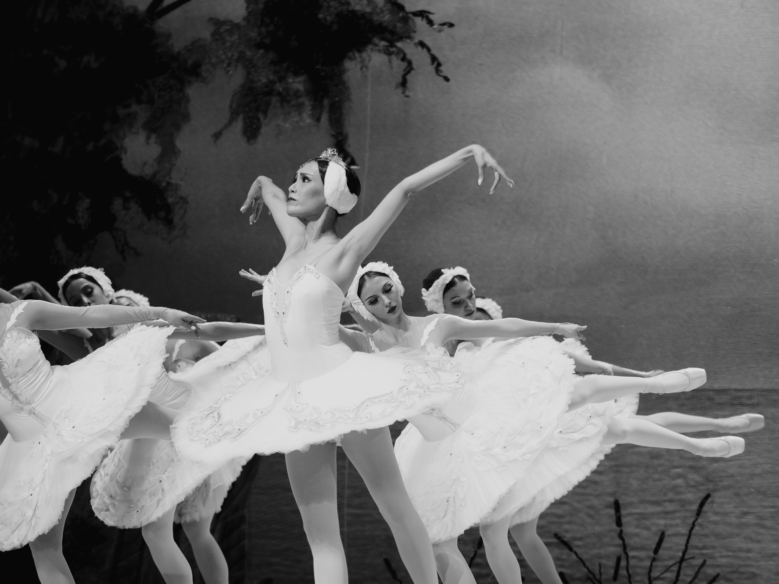 Балет «Лебединое озеро». Маруся Машкова • Фотограф в Москве