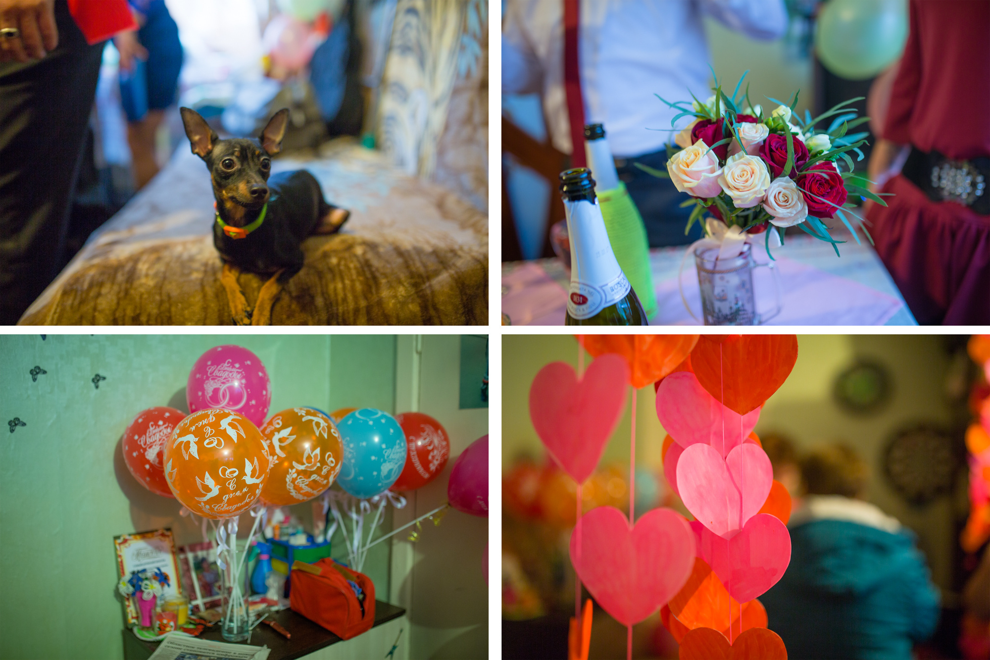 Свадебный фотограф в Ярославле