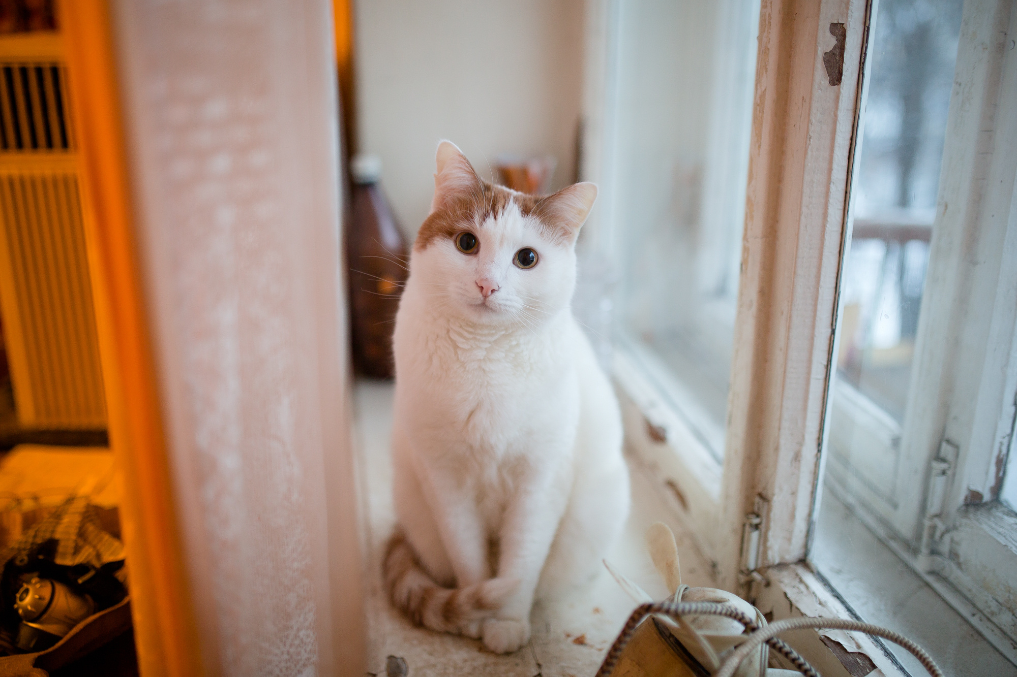 Даша и Дима | Свадебная фотосессия. Фотограф в Ярославле | Фотосессия, фото-видео съемка