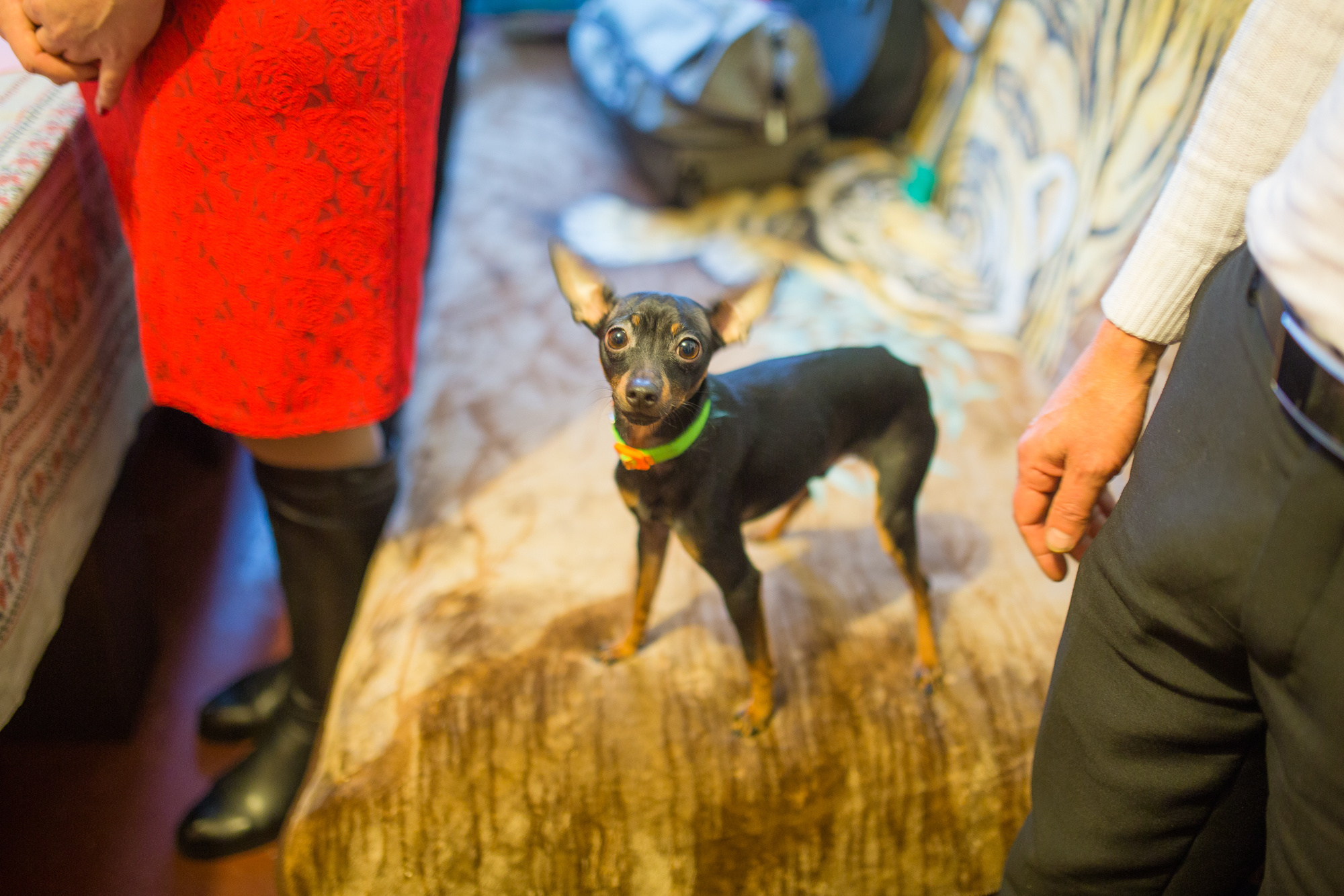 фотограф в Ярославле