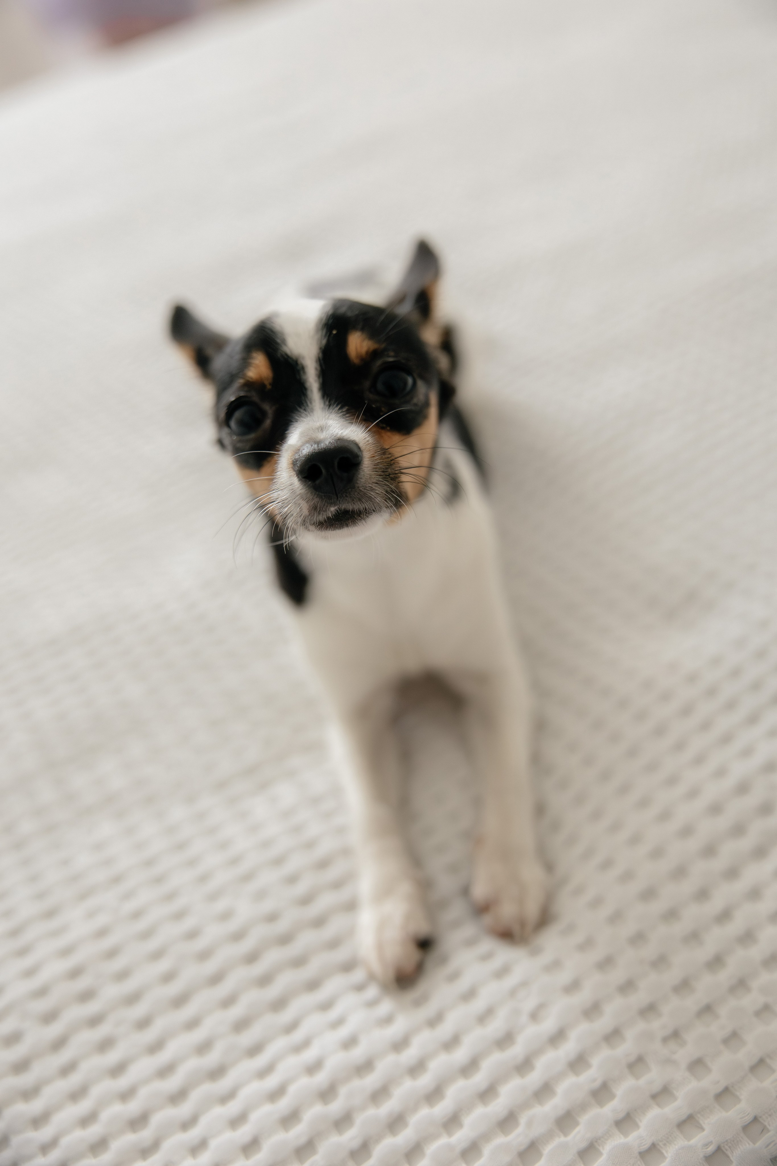 Никита&Светлана. Фотограф Арина Елизарова