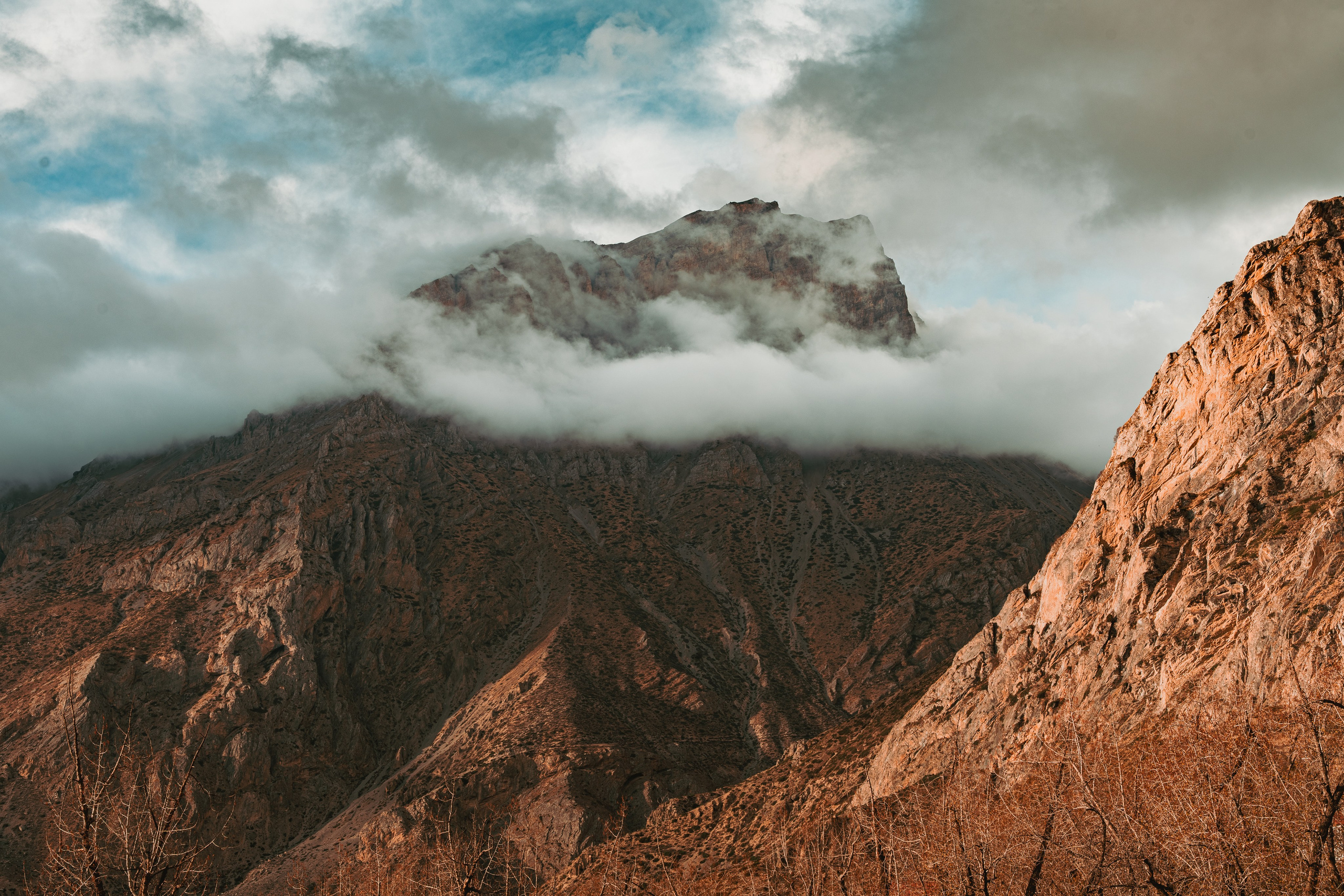 Королевство Мустанг. Dmitry Ippolitov