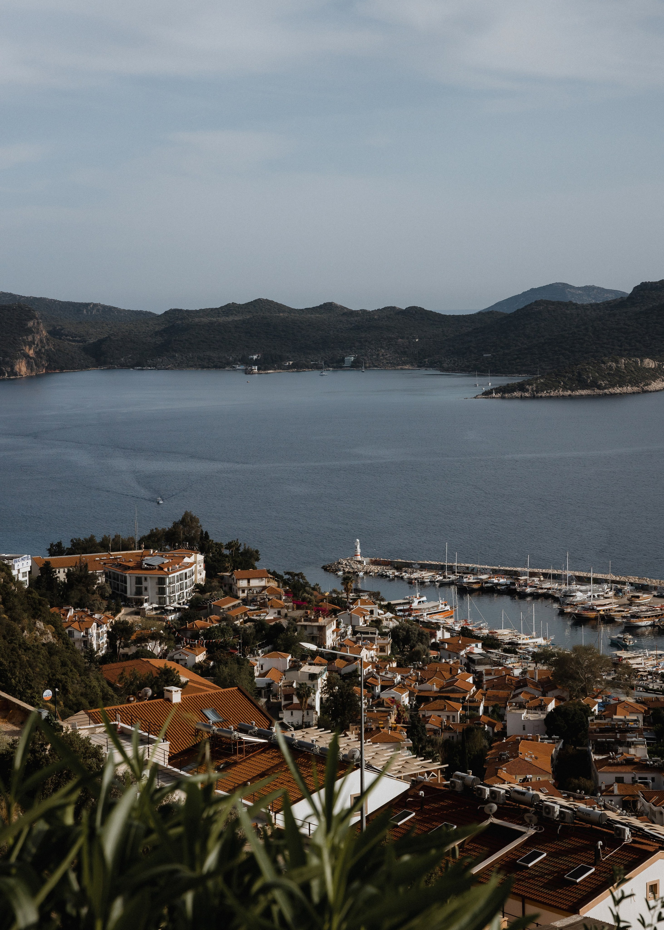 Свадебный и семейный фотограф в Анапе/Новороссийске Виктория Чайка