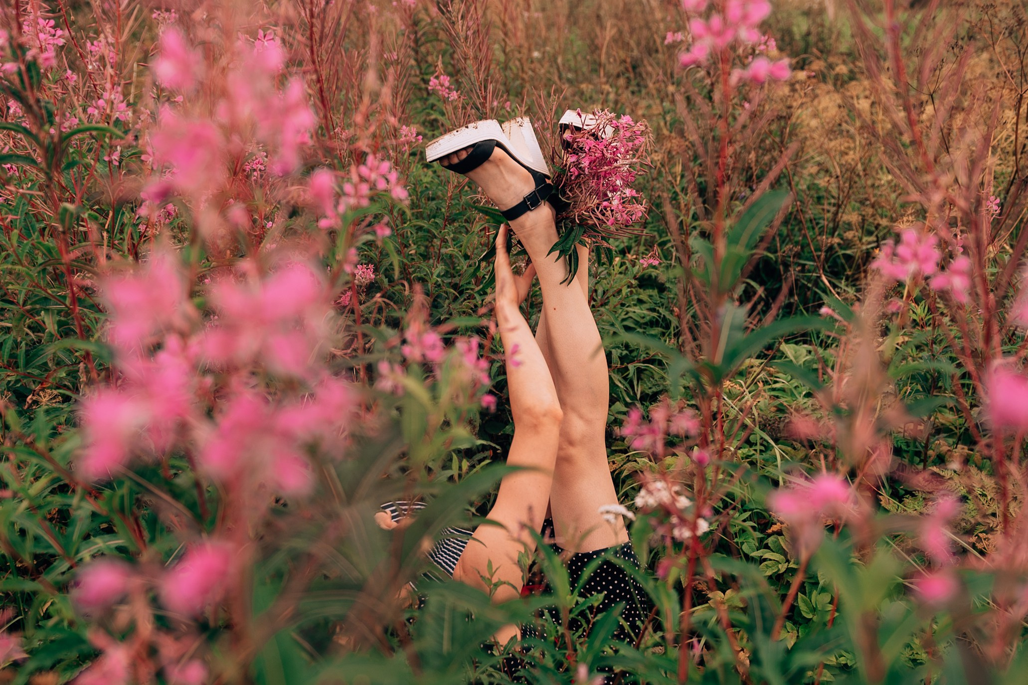 В полях Иван-чая. Свадебный и семейный фотограф София Невская