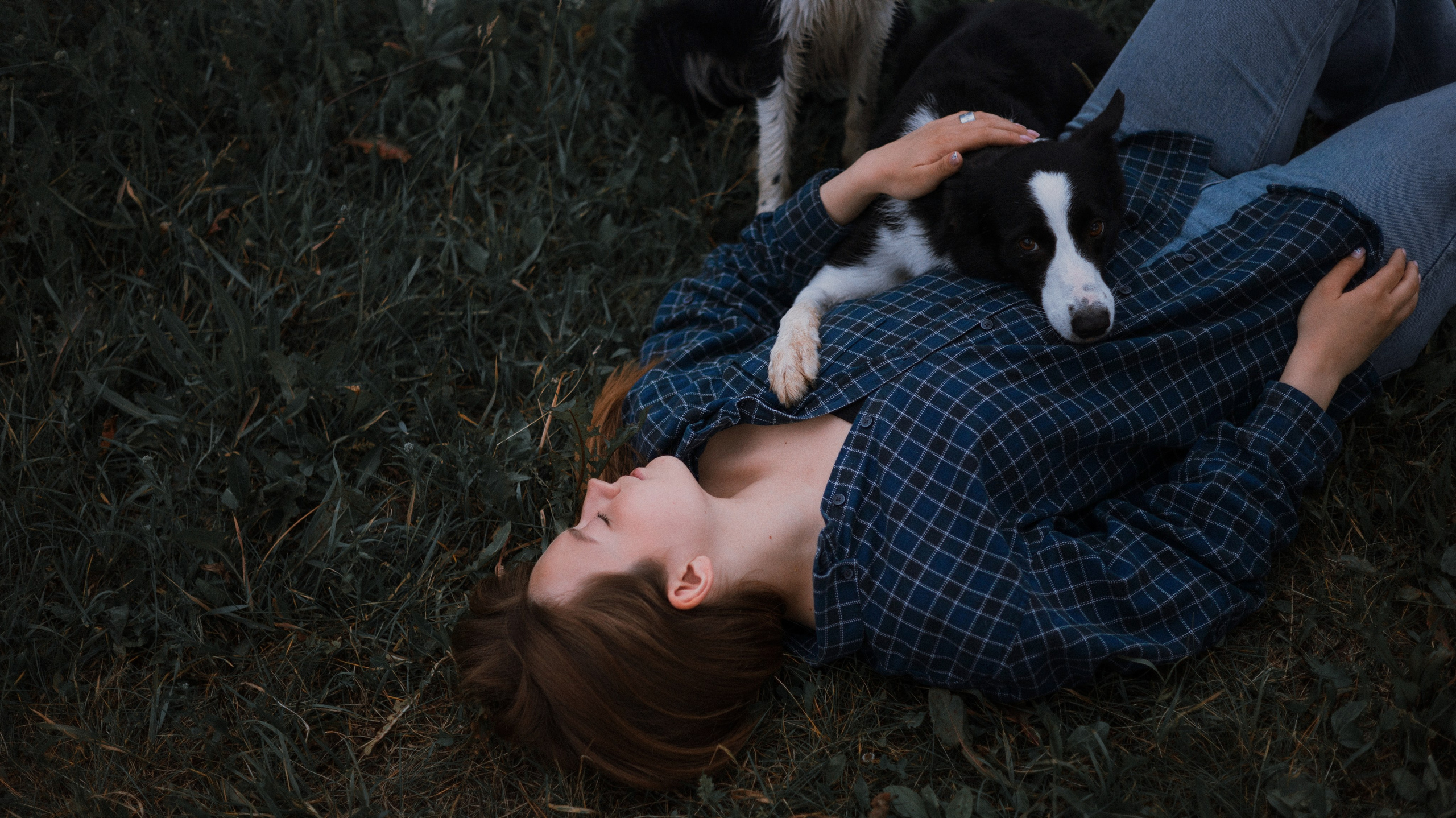 Аделя, Вандер, Шайна и Бая. Фотограф-анималист Богданова Полина