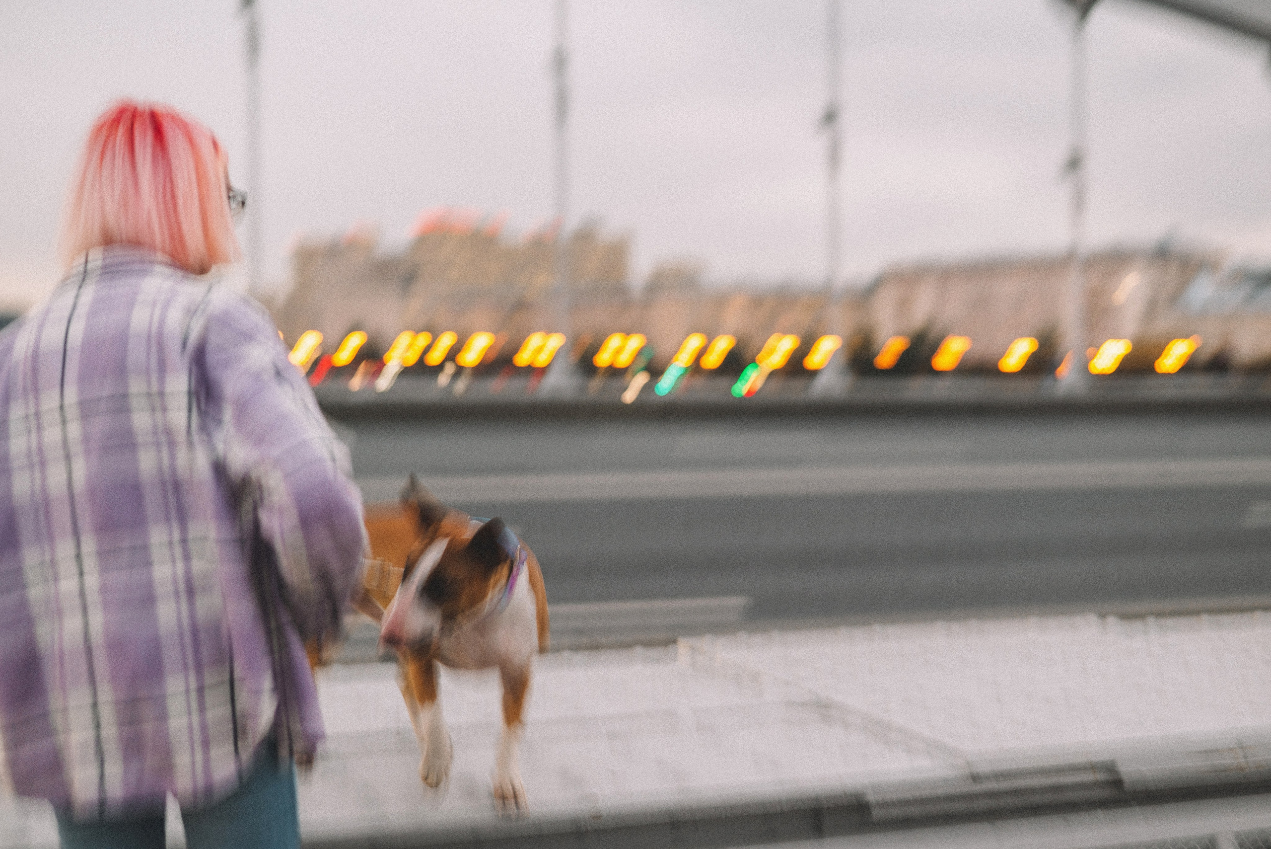 Маша и Рулька. Фотограф-анималист Богданова Полина