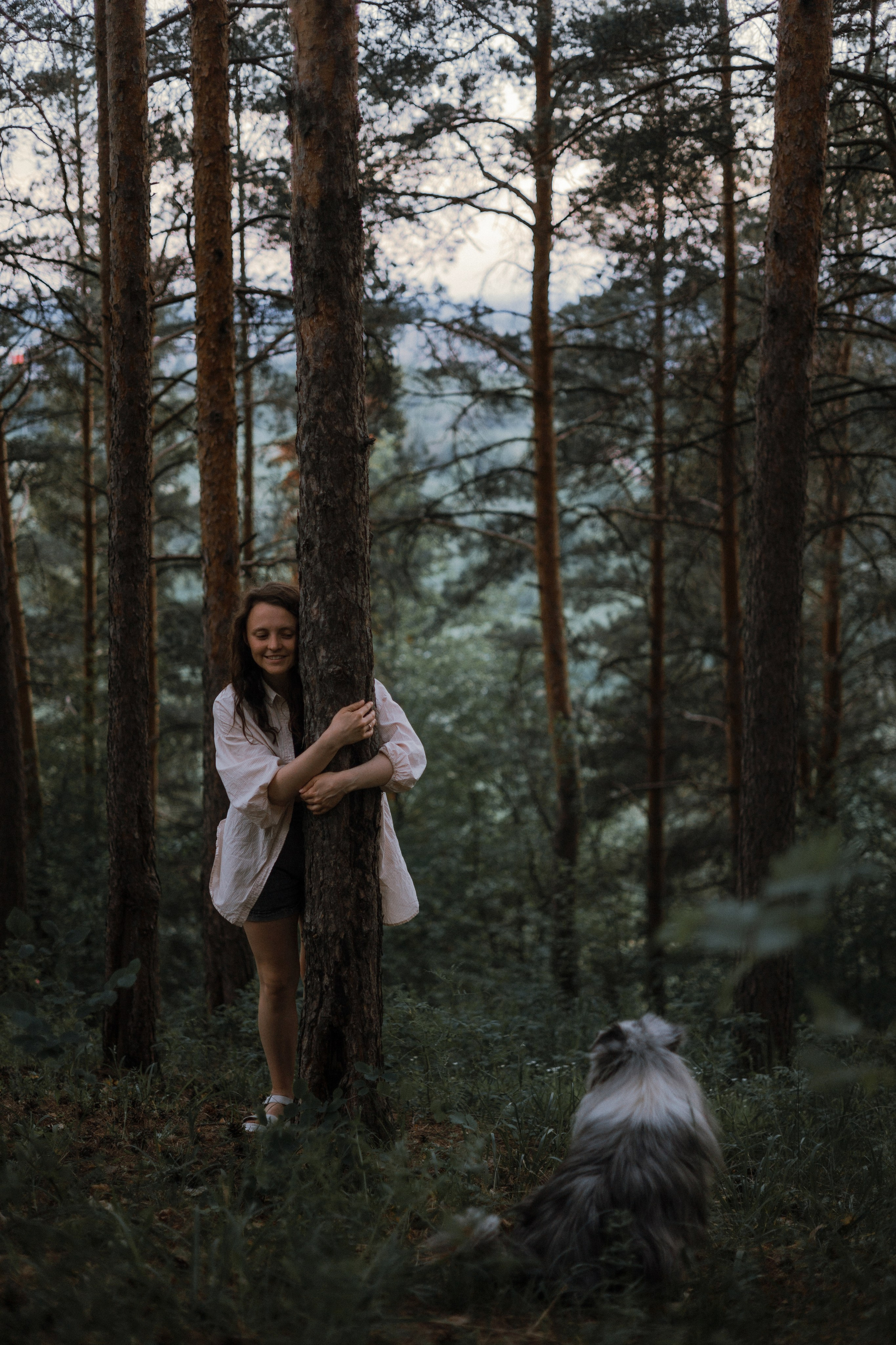 Настя, Шуня, Милка и Тигуан. Фотограф-анималист Богданова Полина