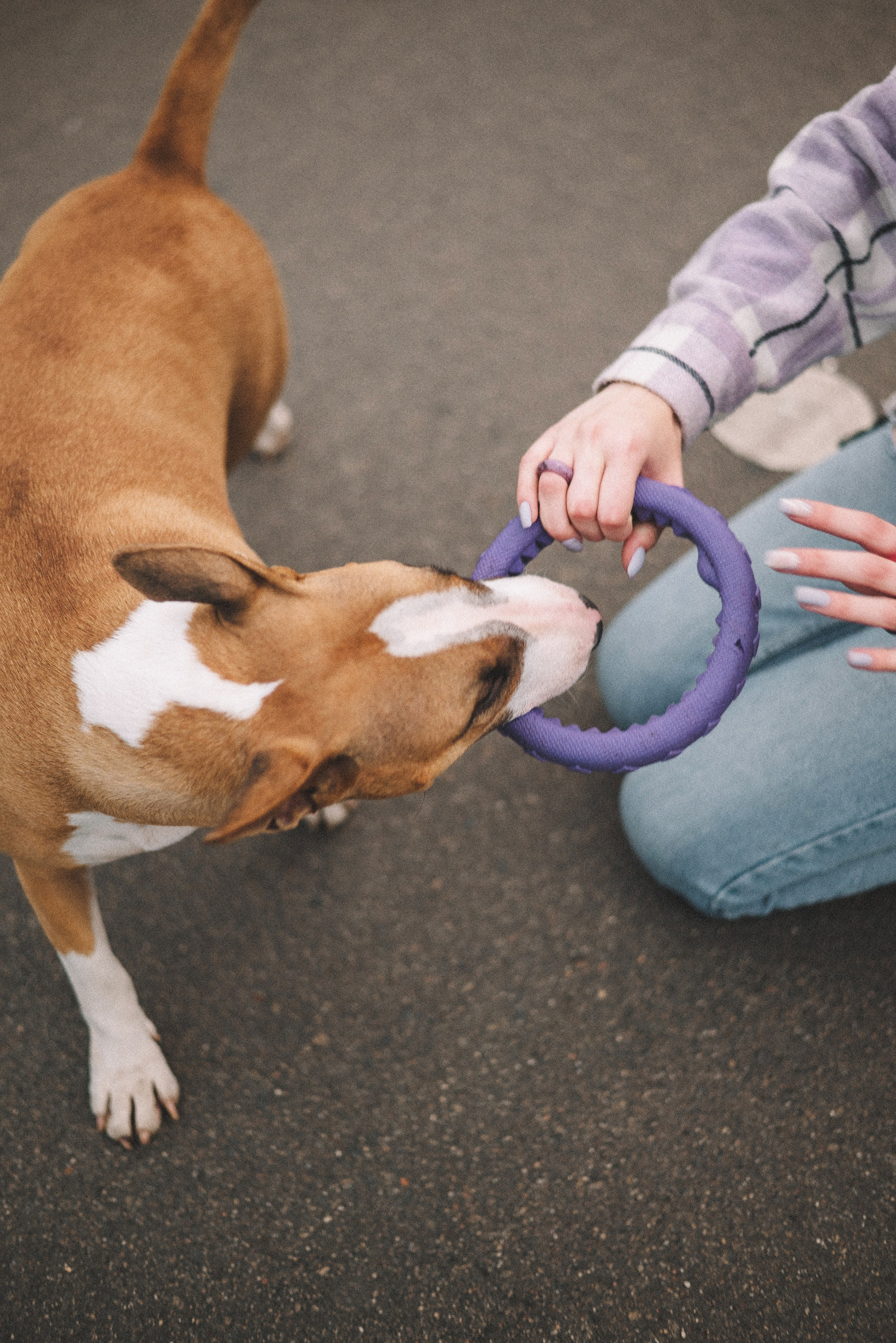 Маша и Рулька. Фотограф-анималист Богданова Полина