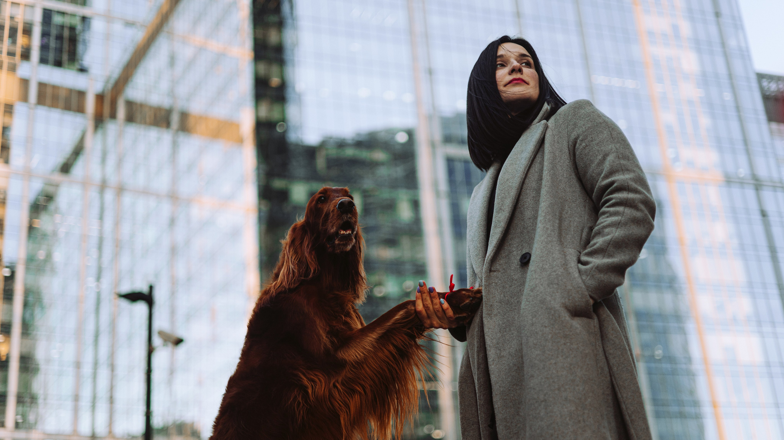 Маша и Лика. Фотограф-анималист Богданова Полина