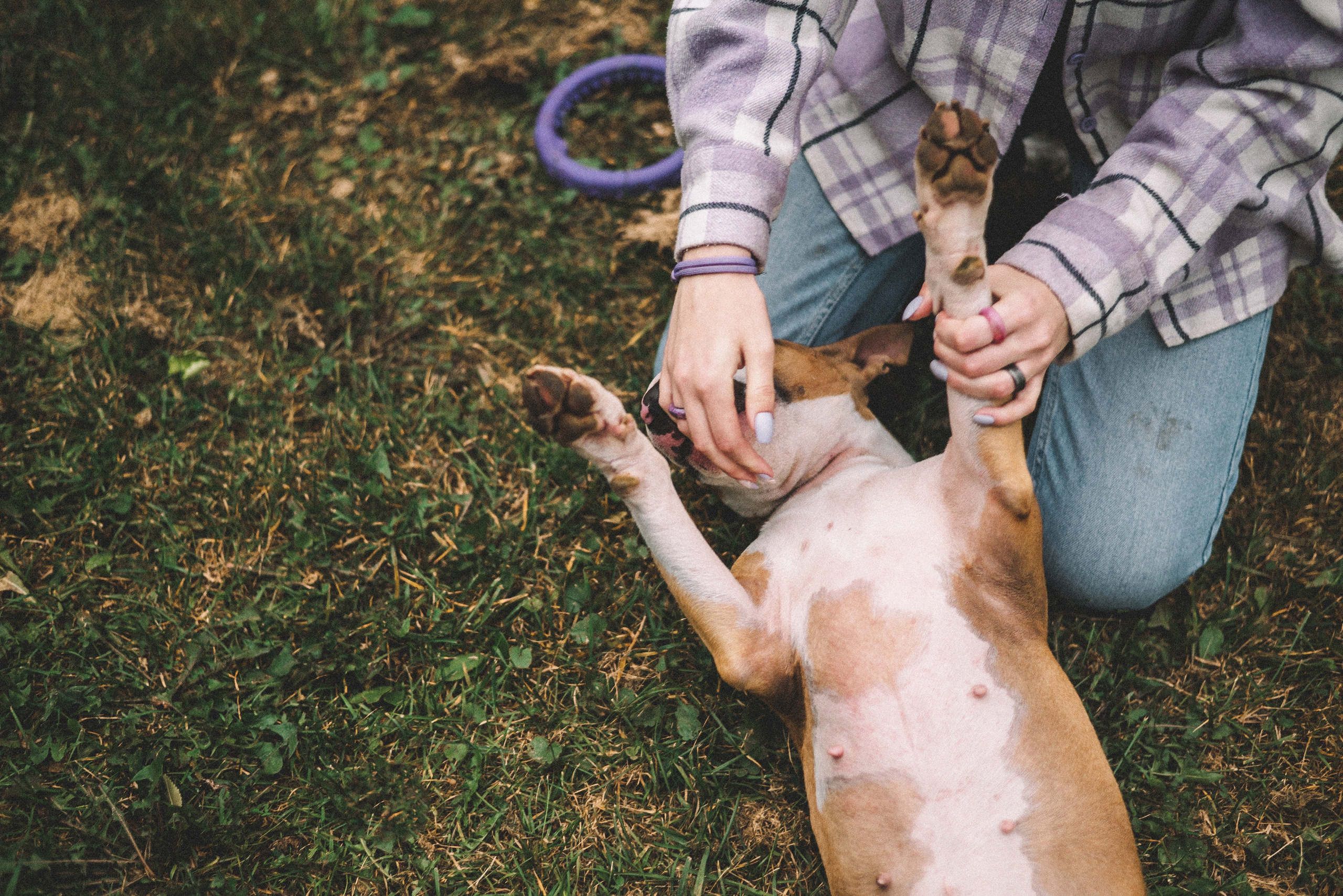 Маша и Рулька. Фотограф-анималист Богданова Полина