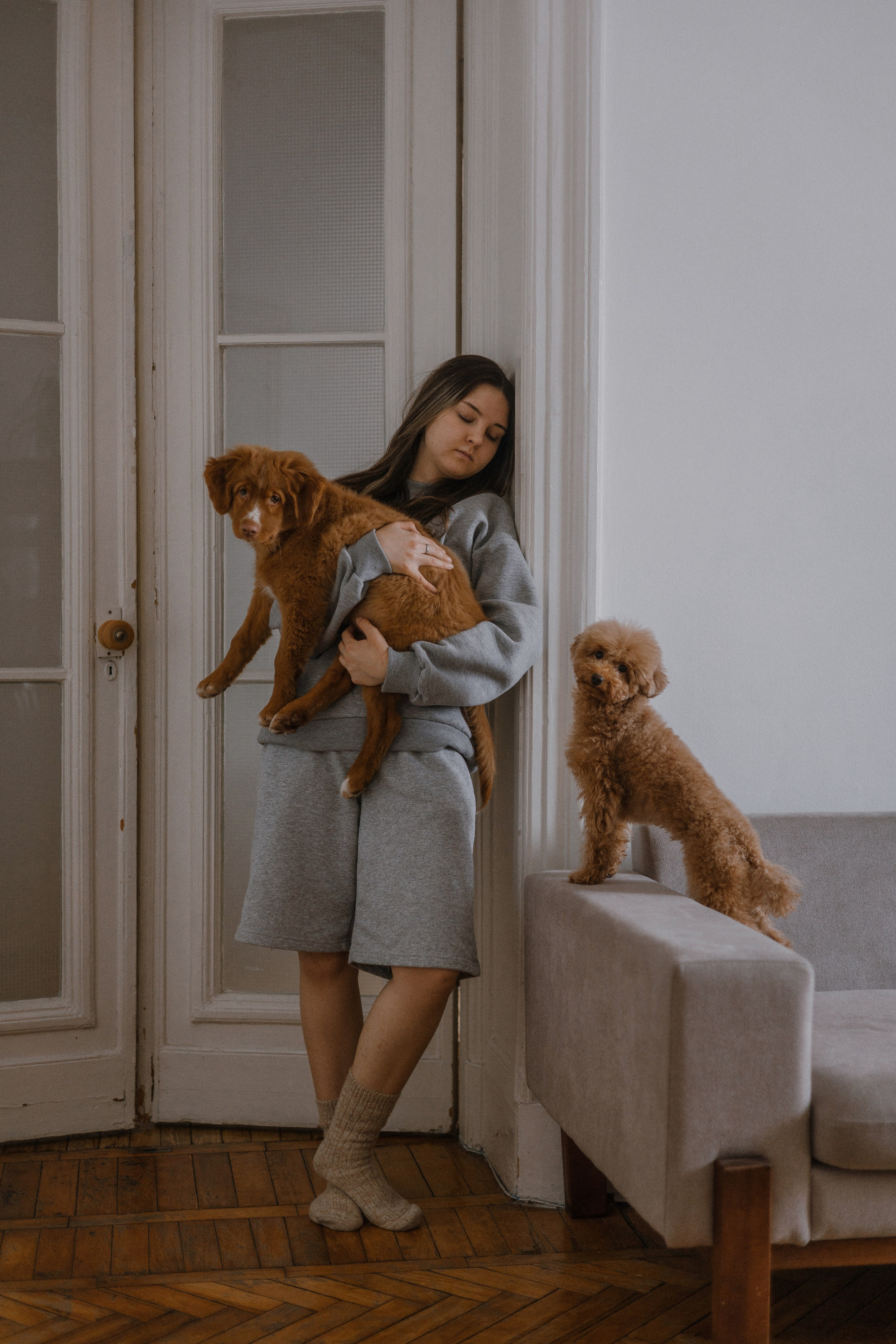 Маша, Одди и Нэвил. Фотограф-анималист Богданова Полина