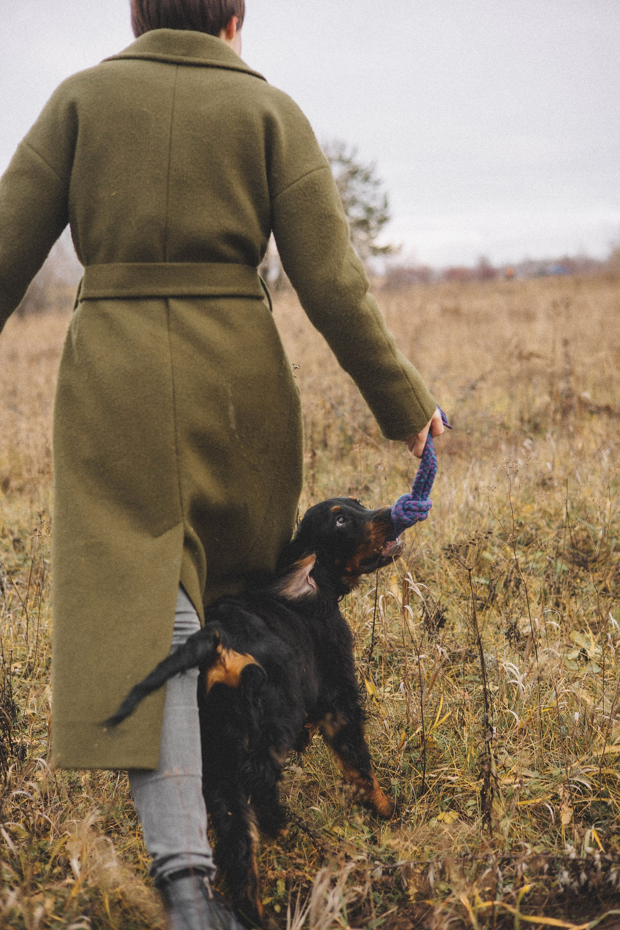 Даша, Глеб, Барс и Бруно. Фотограф-анималист Богданова Полина