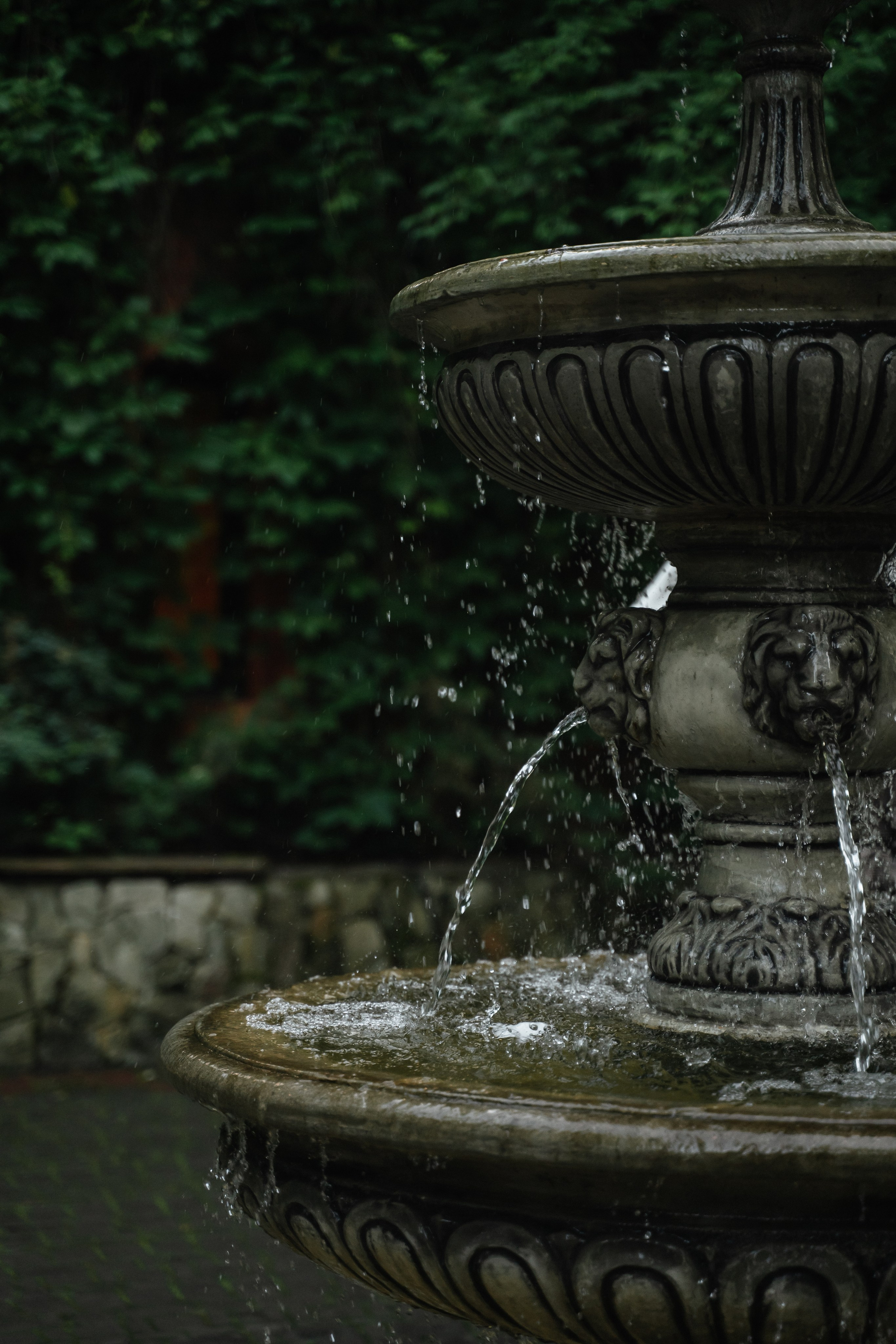 Конный клуб. Портретный фотограф в Москве