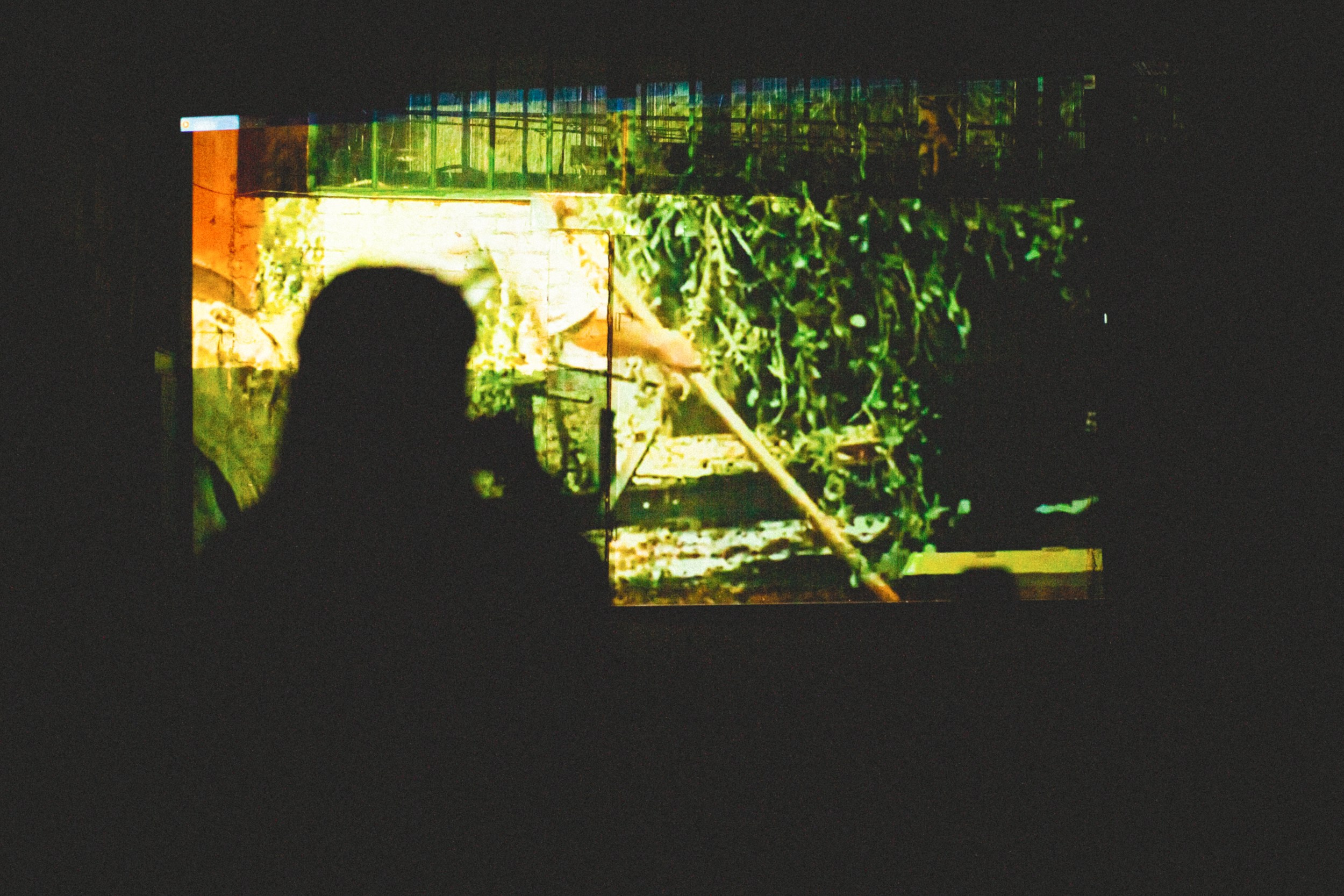 Гроздья Гнева. Фотограф Анна Апрельская Москва| Moscow Anna Aprelskaya Photographer