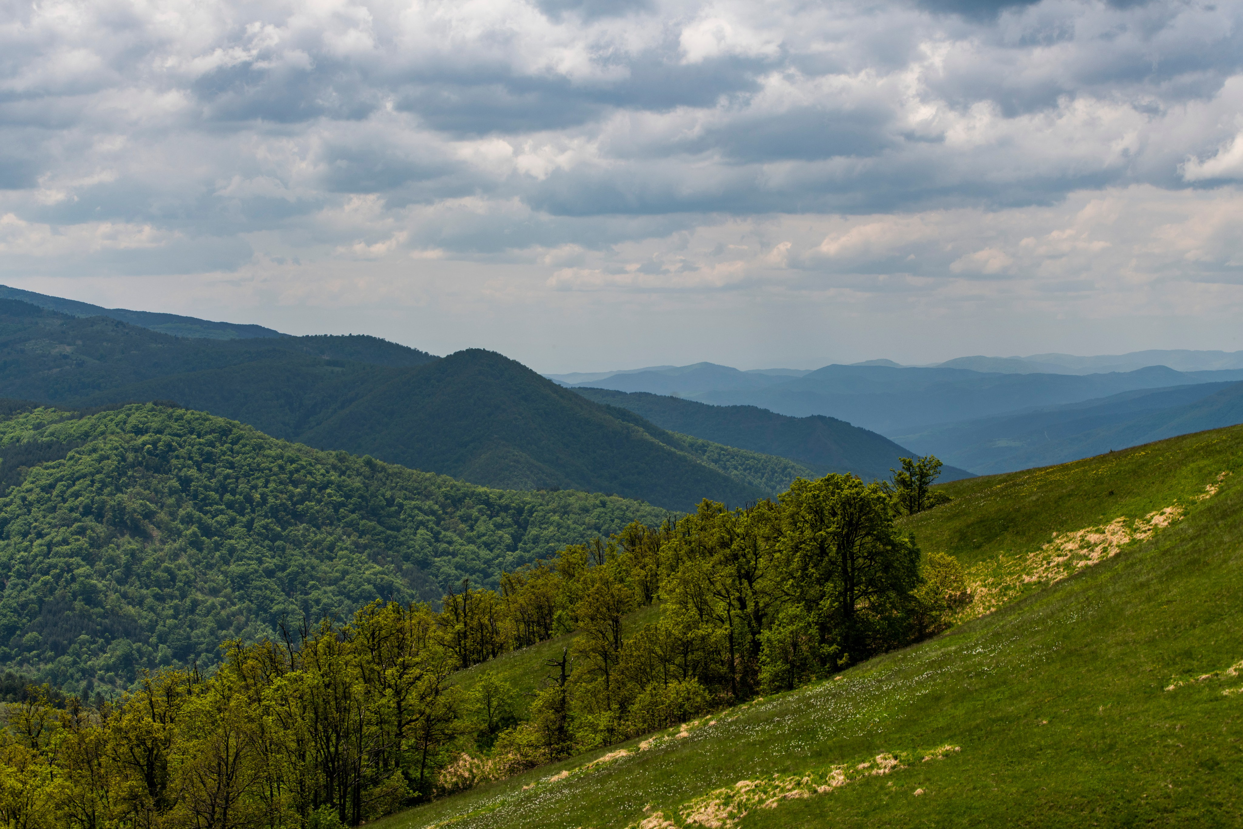 Столови. Сербия. Фотограф в Москве. Шахабудин