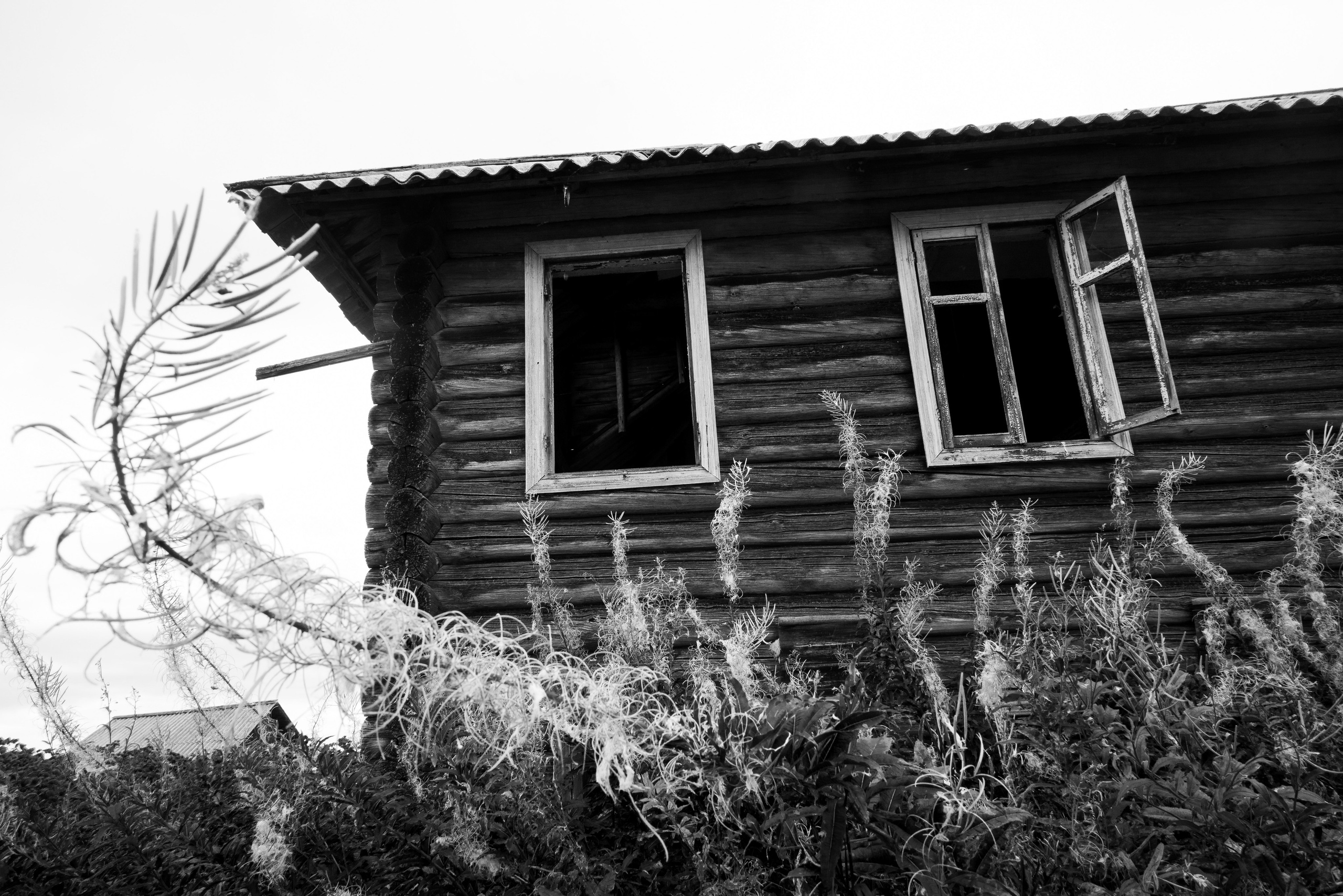 Деревня / Север II. Фотограф Антон Денисенко: Портрет, Документалистика, Пейзаж. Москва