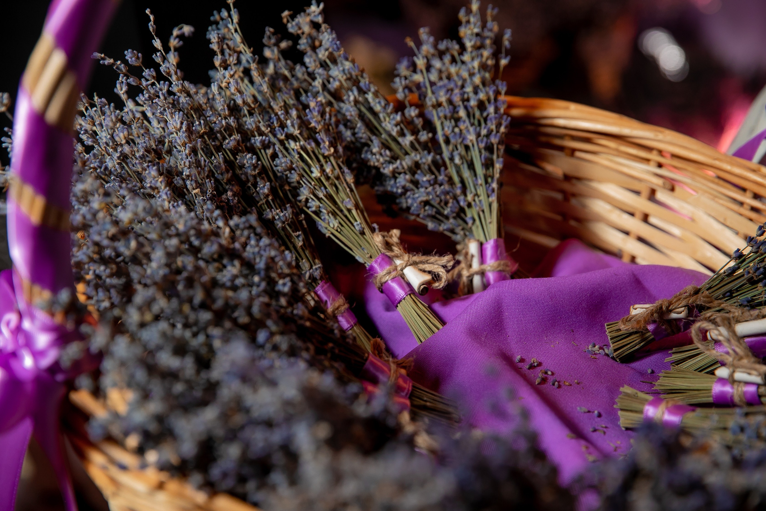 Дни рождения взрослые. Семейный фотограф в Москве