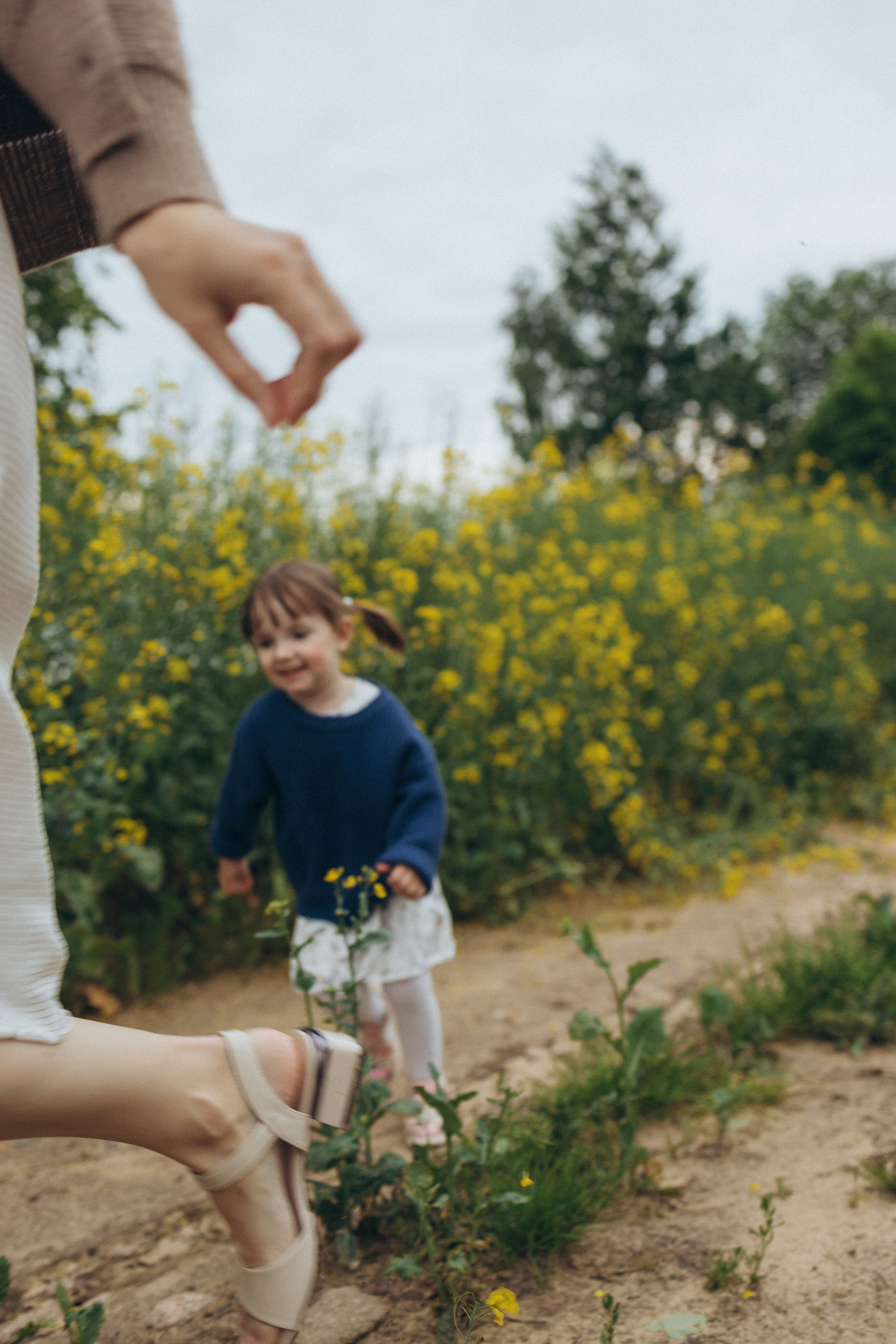 После дождя. Фотограф Елена Рябцева