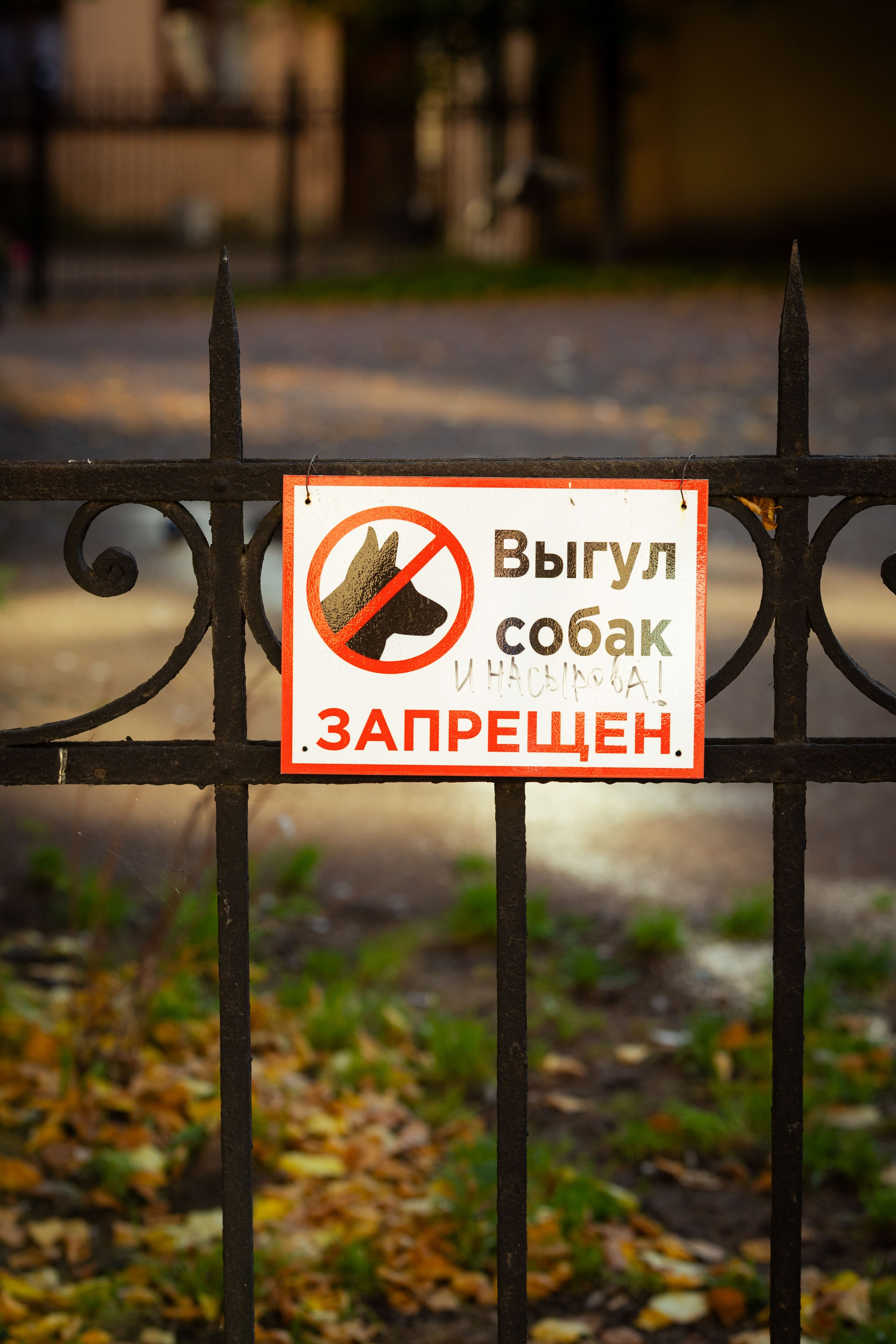 Кольский (осень 2025). Фотограф Виноградов Константин