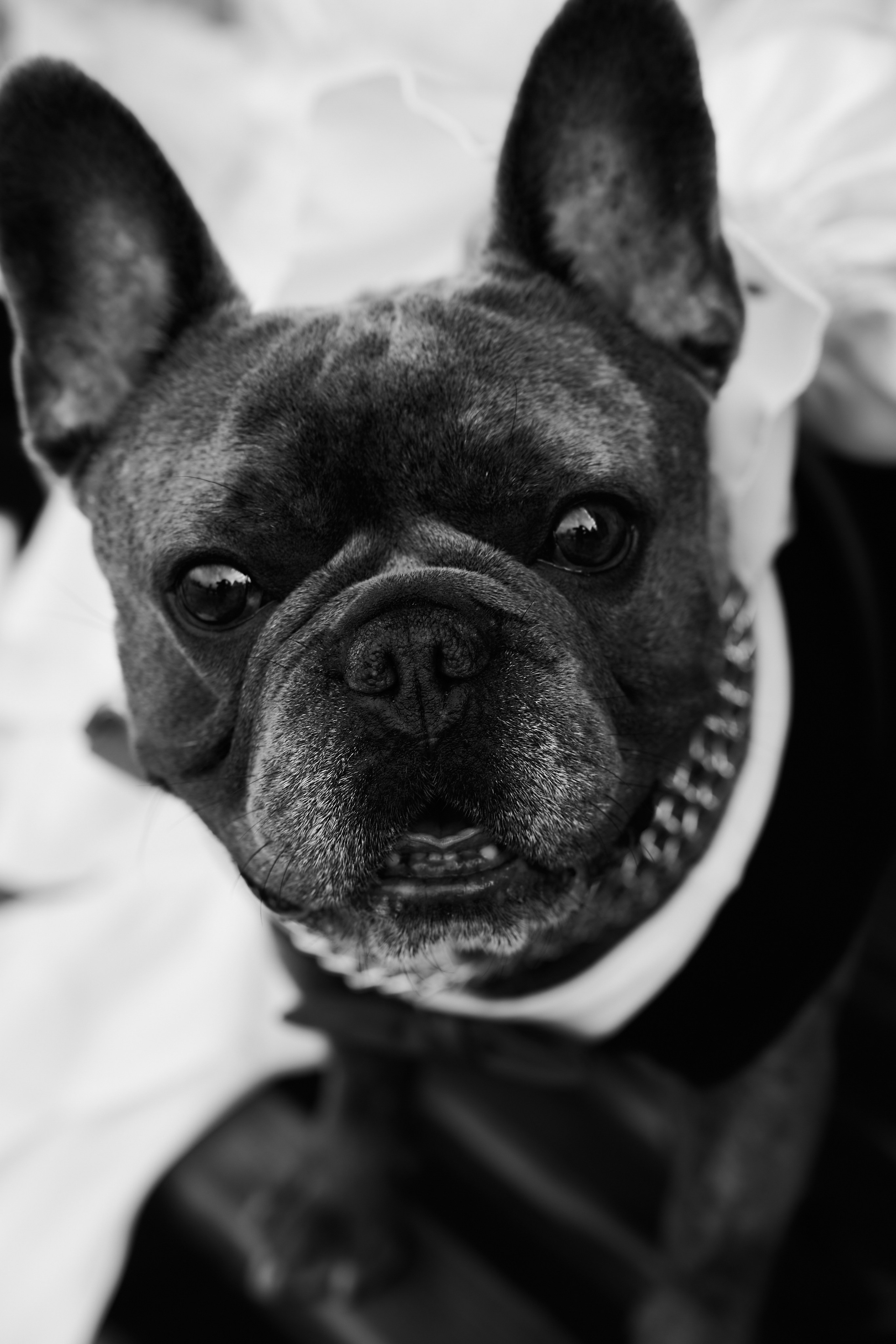 Only love. Фотограф Рома Серёжечкин