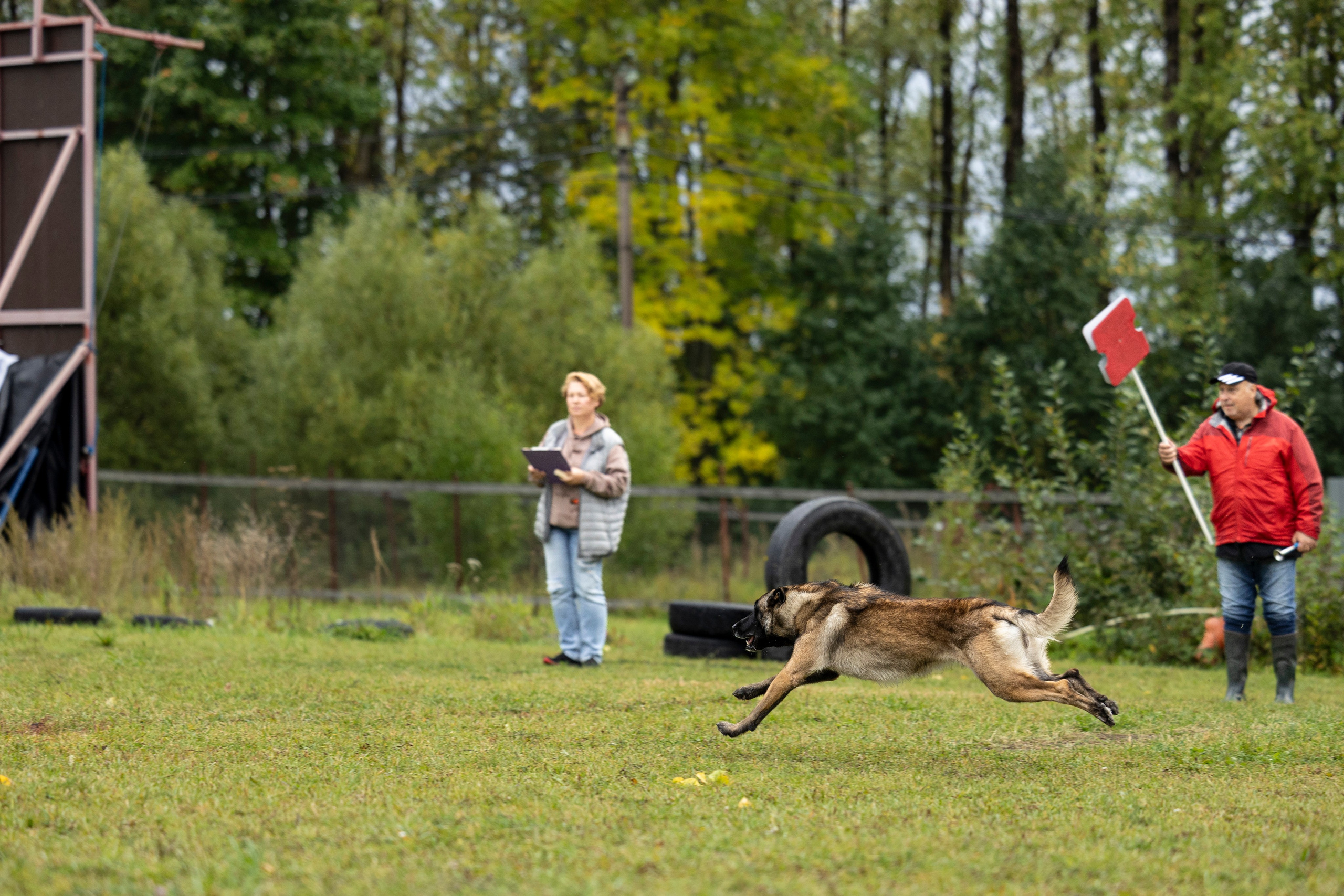 Испытания по Мондьорингу г. Пушкин. Фотограф-анималист Анна Маринич