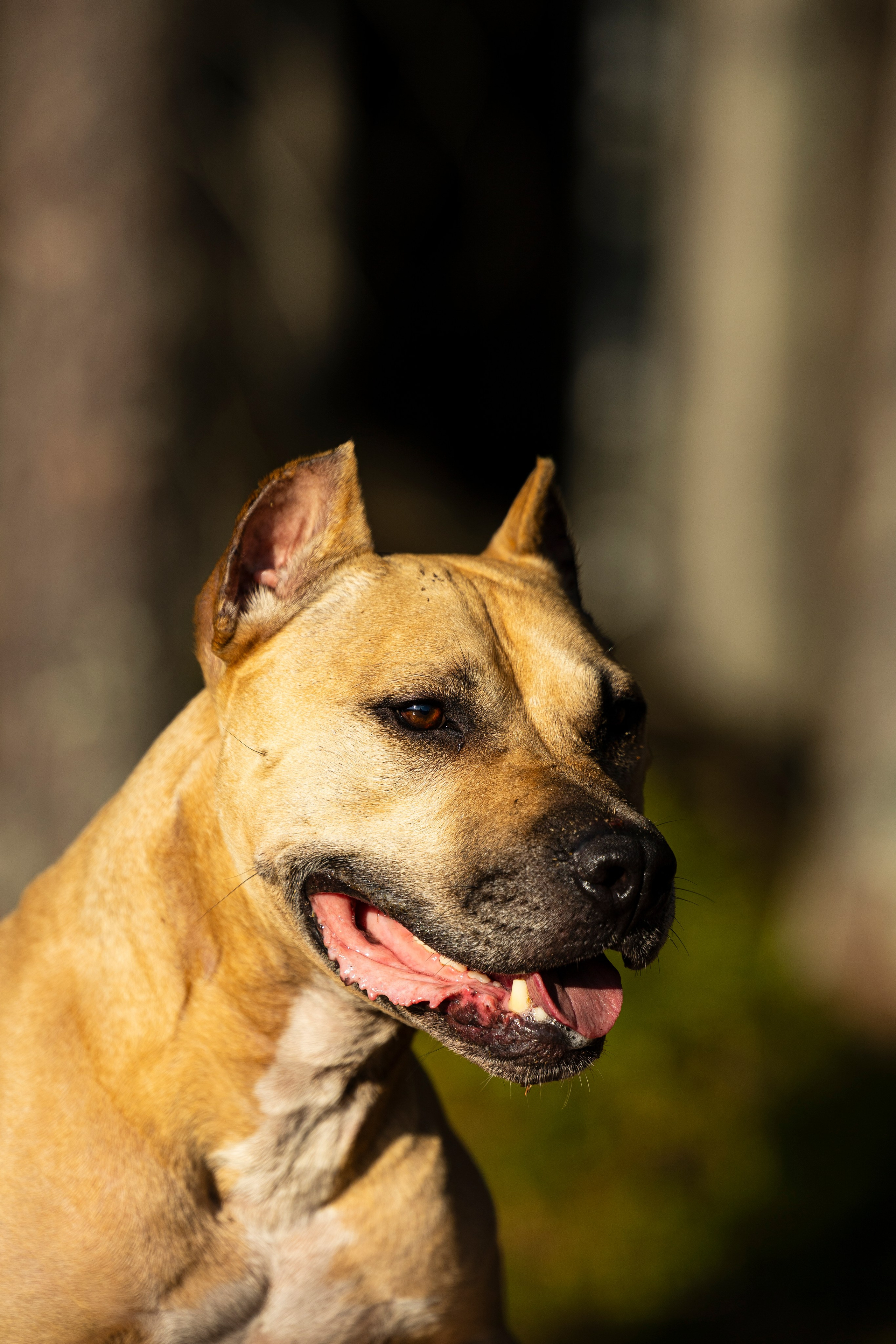 Фобос. Фотограф-анималист Анна Маринич