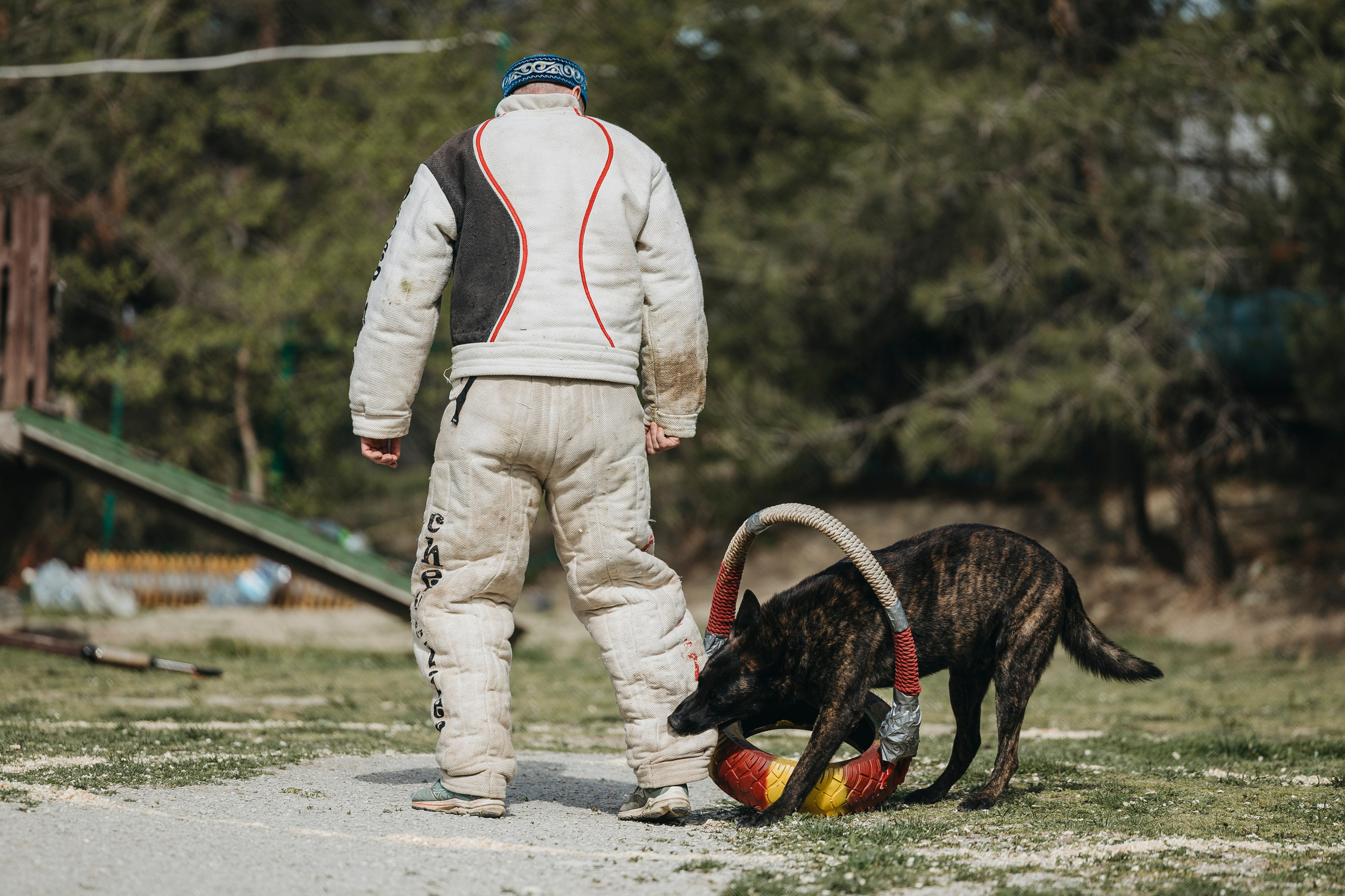 Геленджик Мондьоринг. Фотограф-анималист Анна Маринич