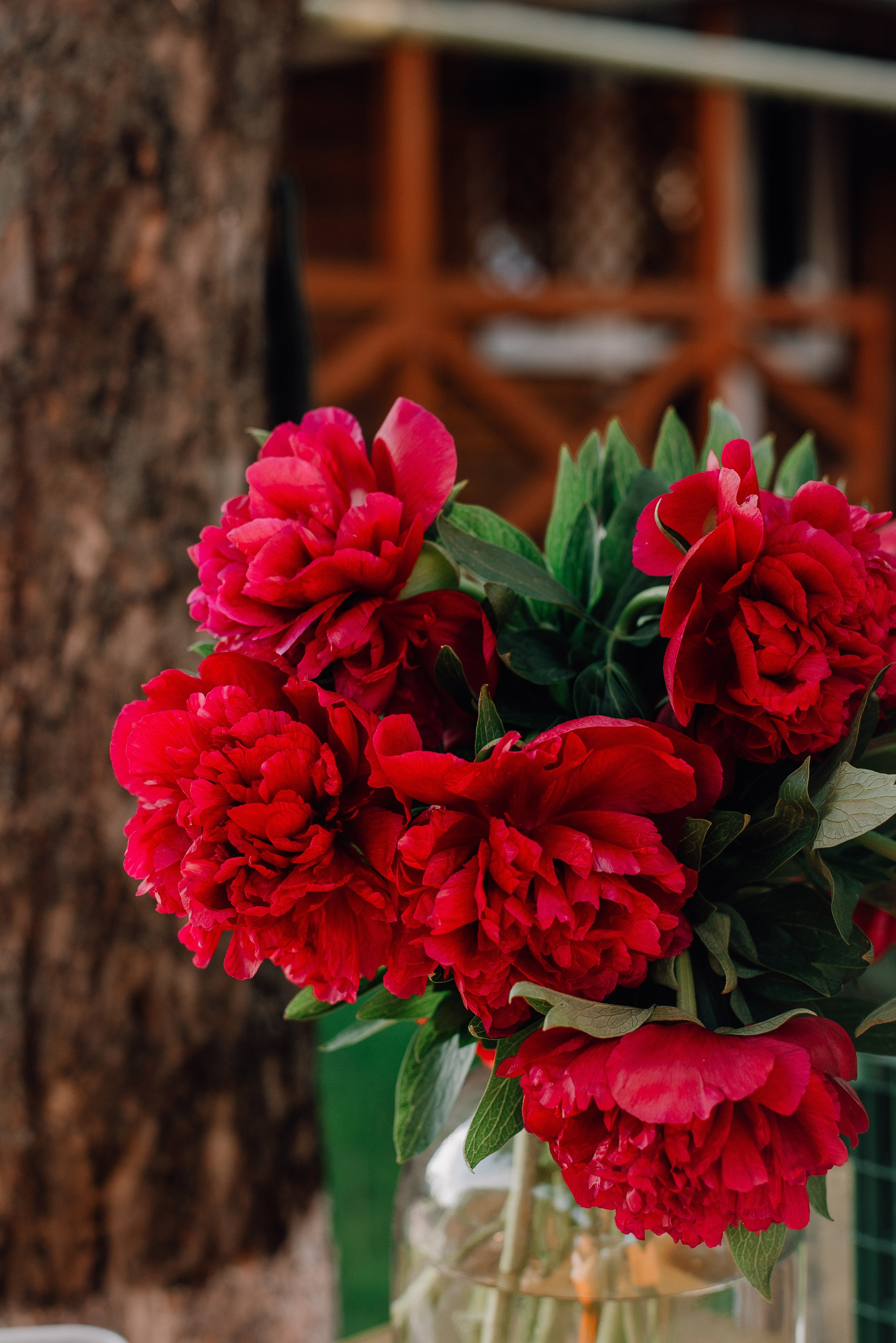 Анна, день рождения. Семейный и детский фотограф Иваново Ксения Азаренкова